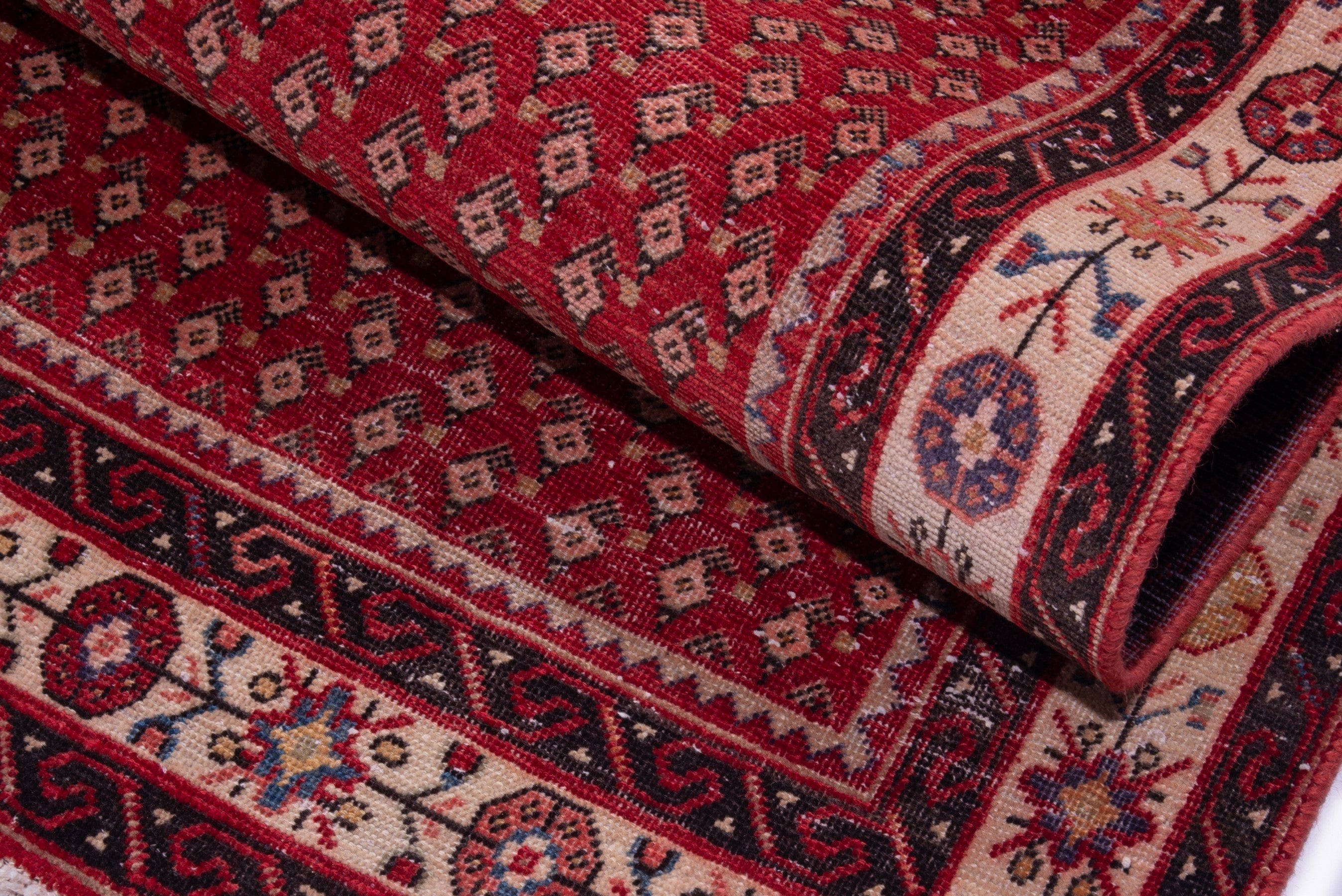 Persian Arak runner rug in deep red and cream, view 15 of 17