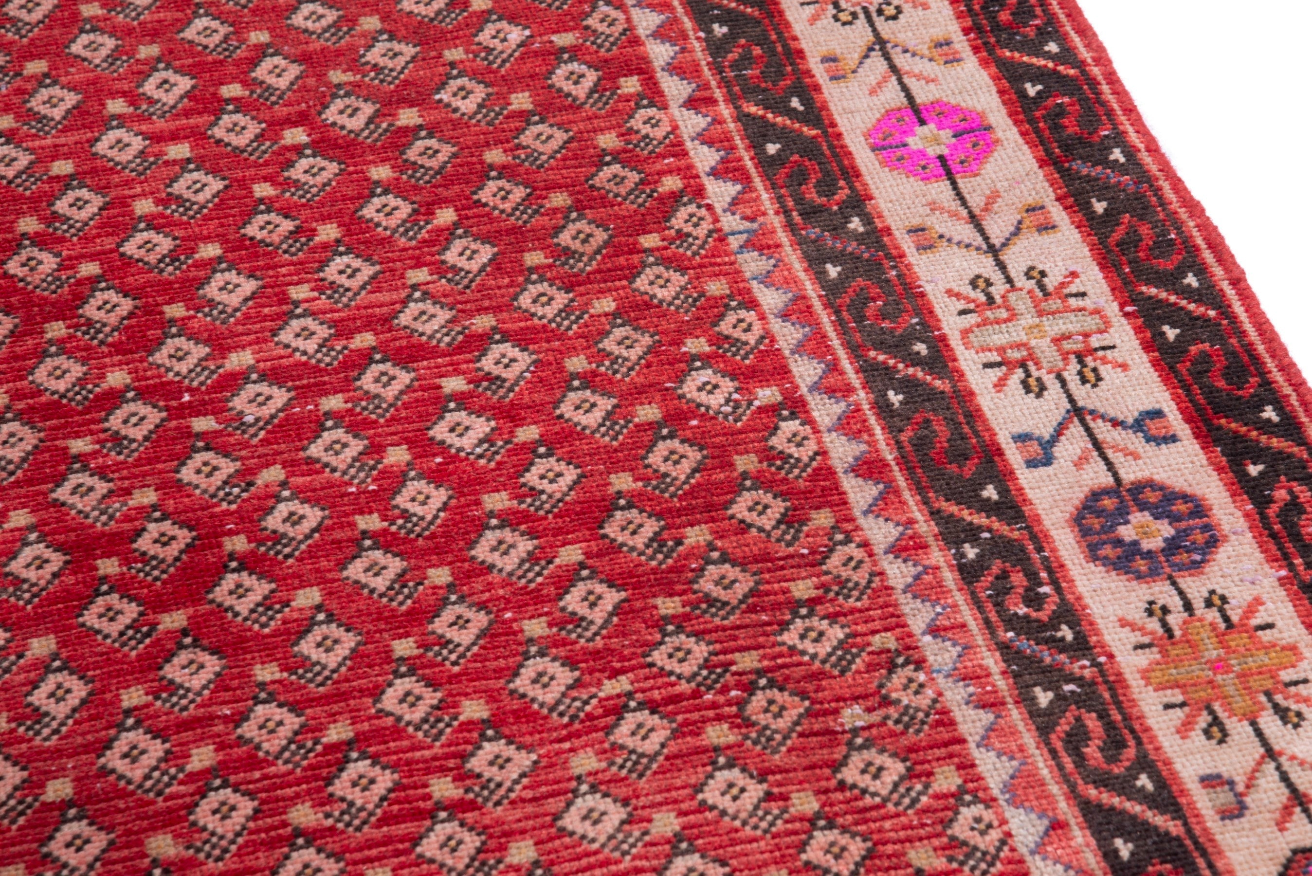 Persian Arak runner rug in deep red and cream, view 7 of 17