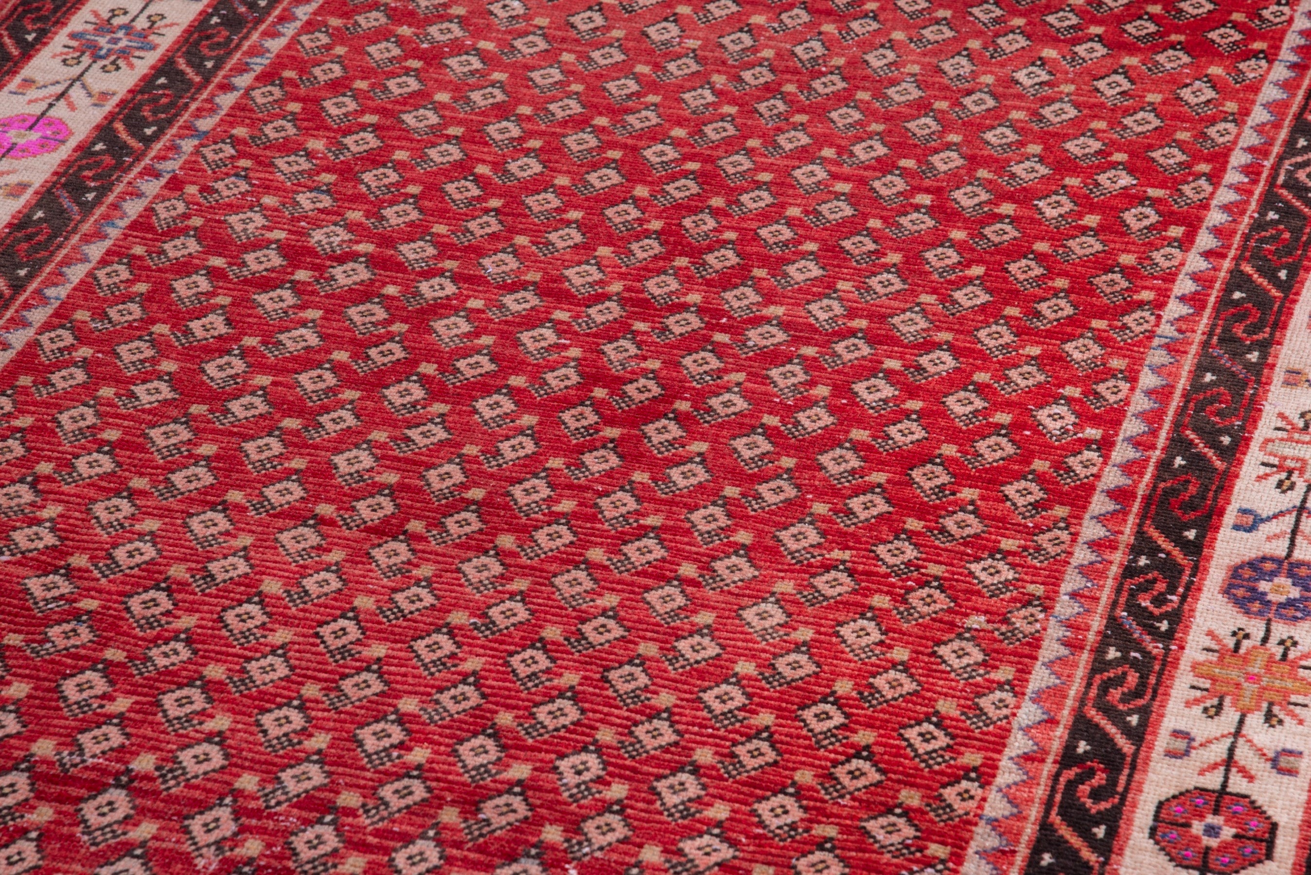 Persian Arak runner rug in deep red and cream, view 9 of 17
