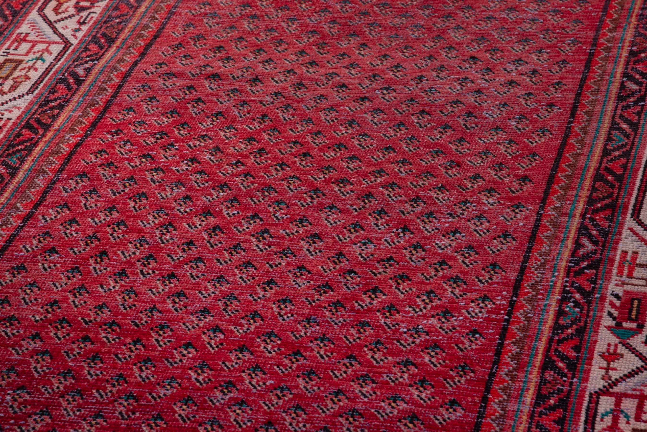 Persian Arak runner rug in deep red and cream, view 9 of 19