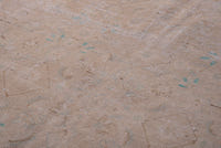 1401 view 9