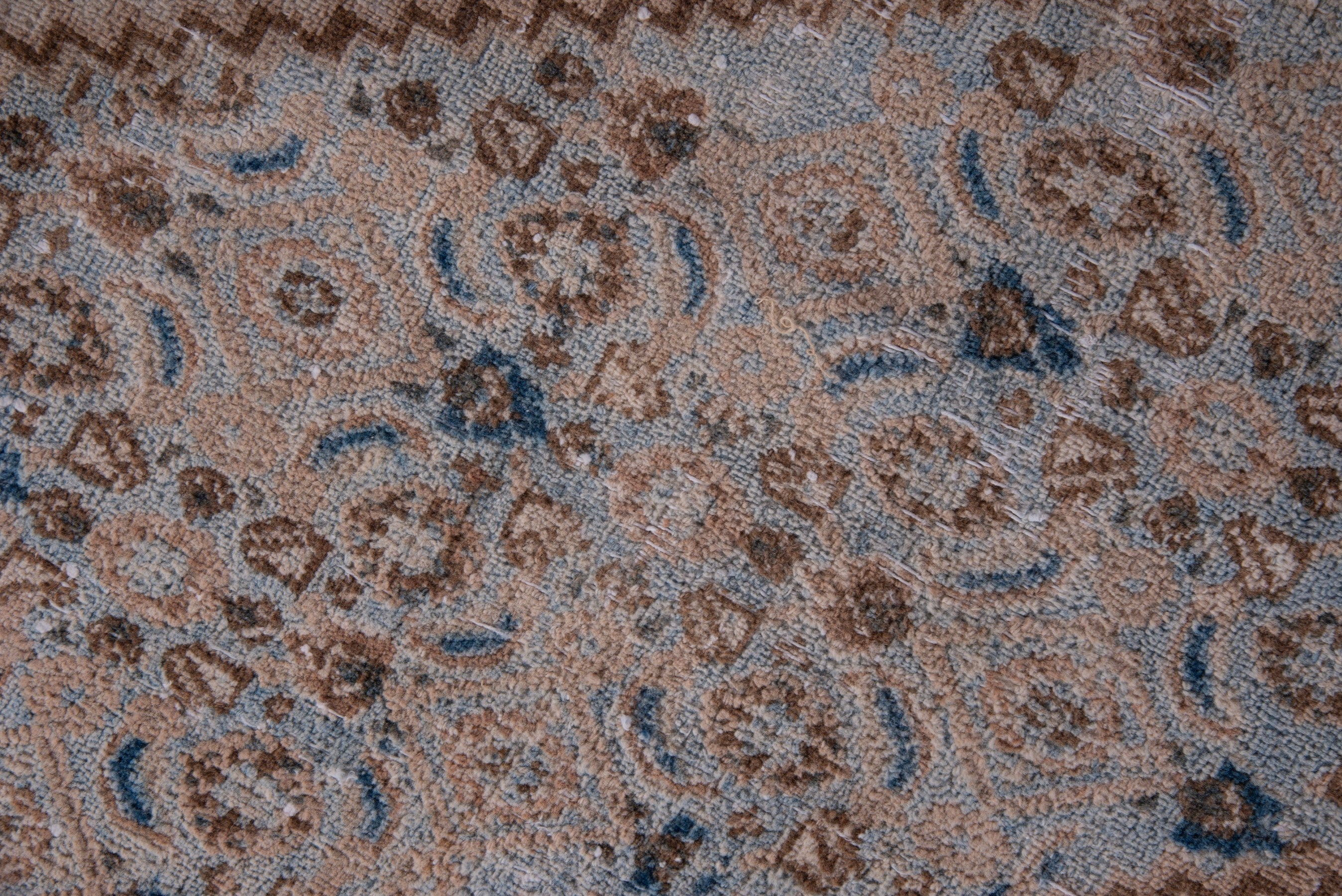 Persian Birjand area rug in beige and denim, view 12 of 23