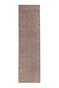 1658 view 1