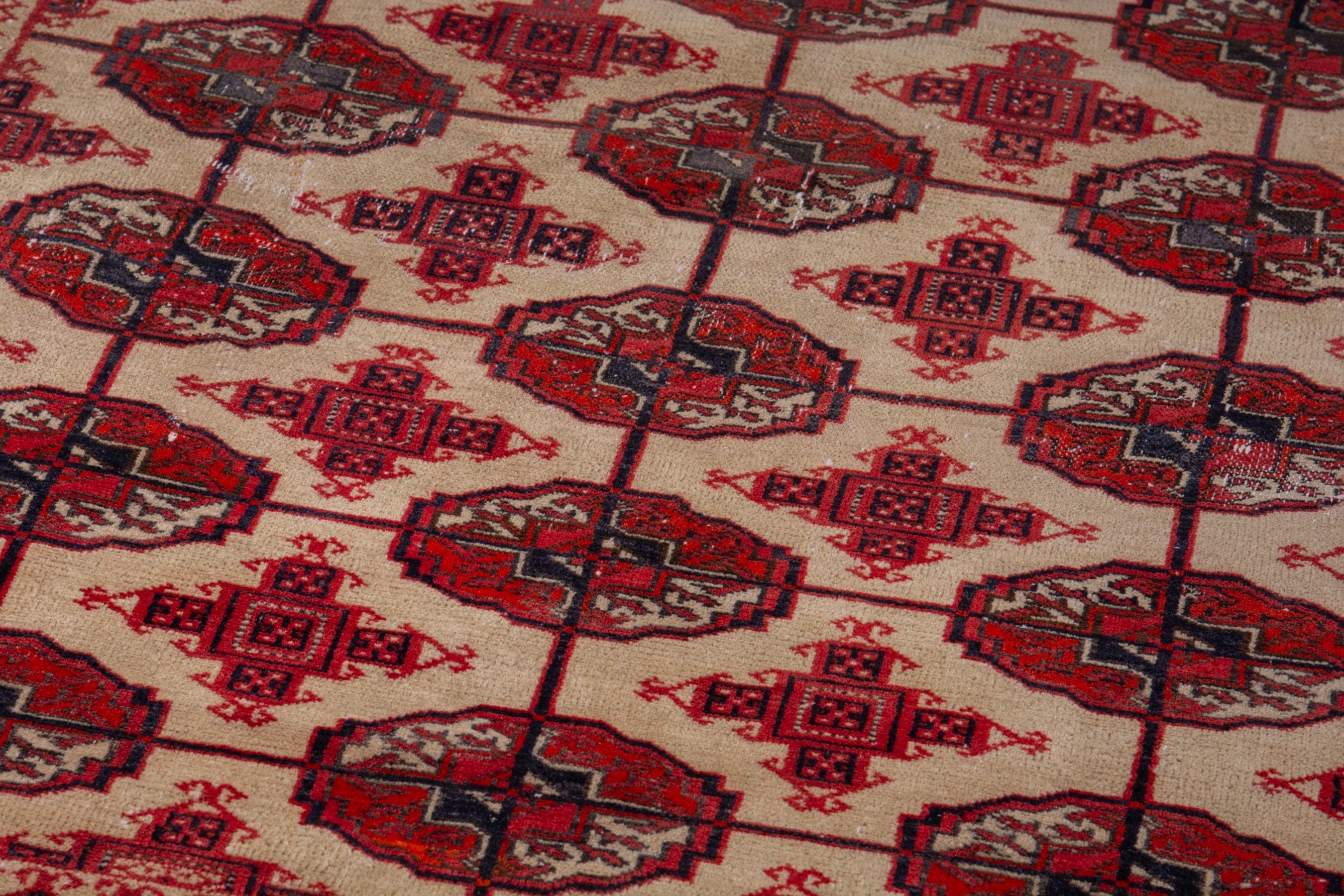 Persian Torkaman accent rug in burgundy and cream, view 9 of 19