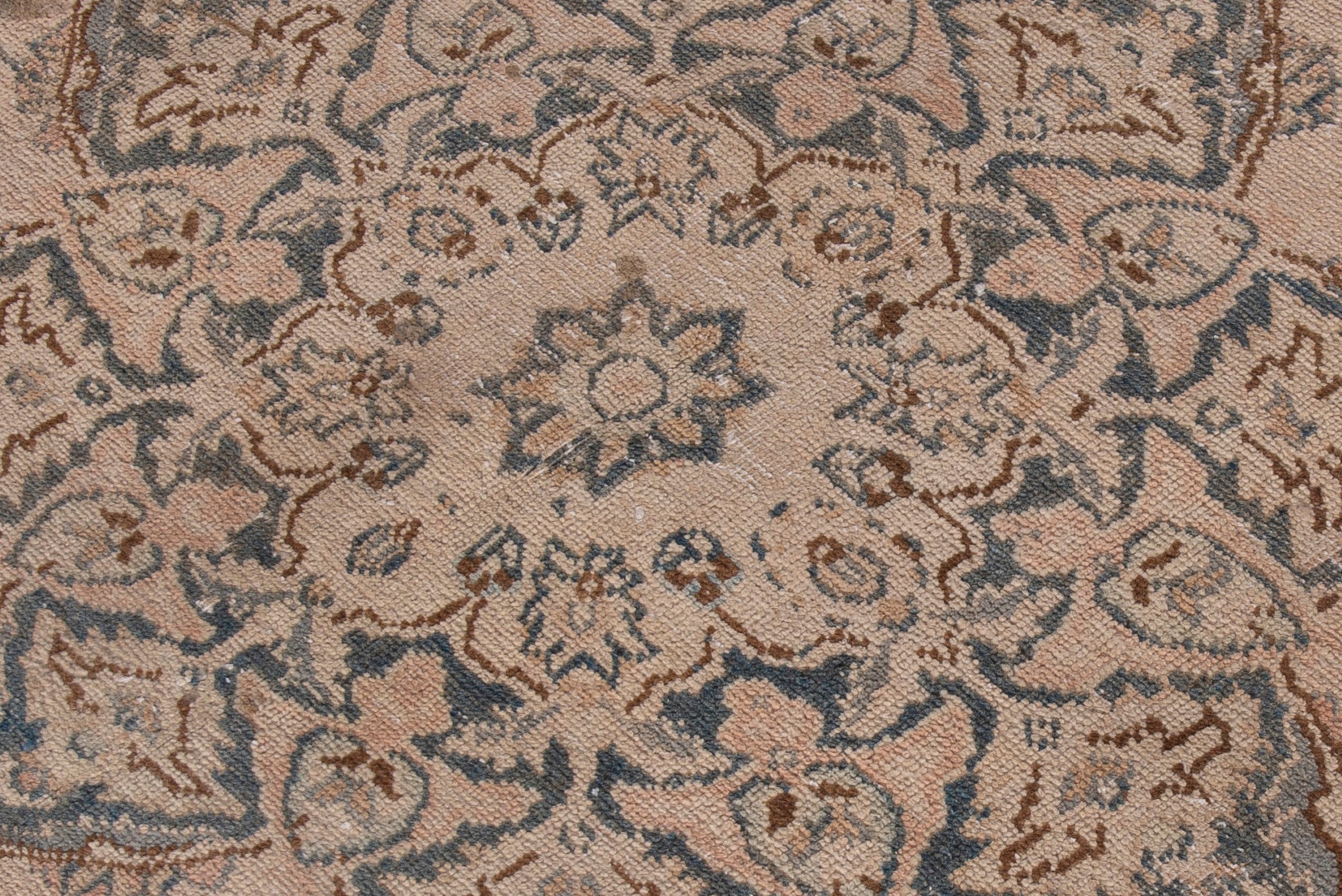 Persian Sabzevar area rug in beige and taupe, view 15 of 16