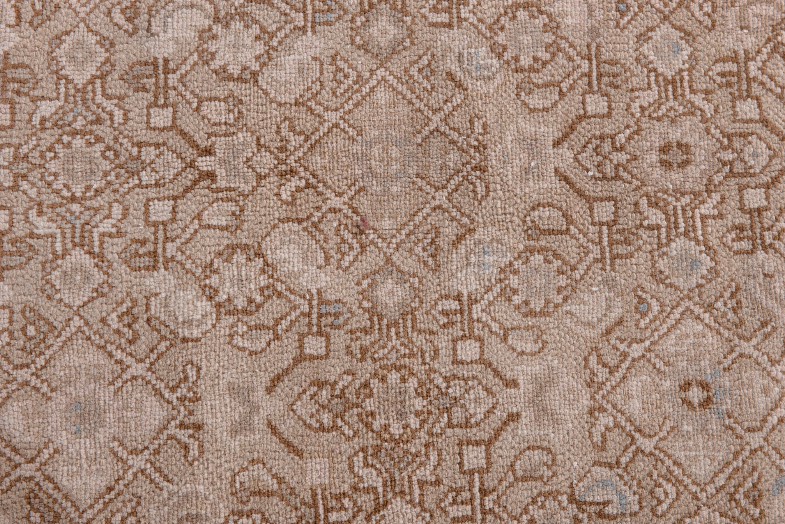 Persian Mahal runner rug in muted pink and dusty rose, view 12 of 20