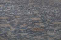 2104 view 10