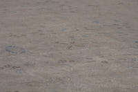 2108 view 10