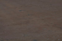 2111 view 10