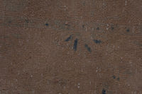 2111 view 13