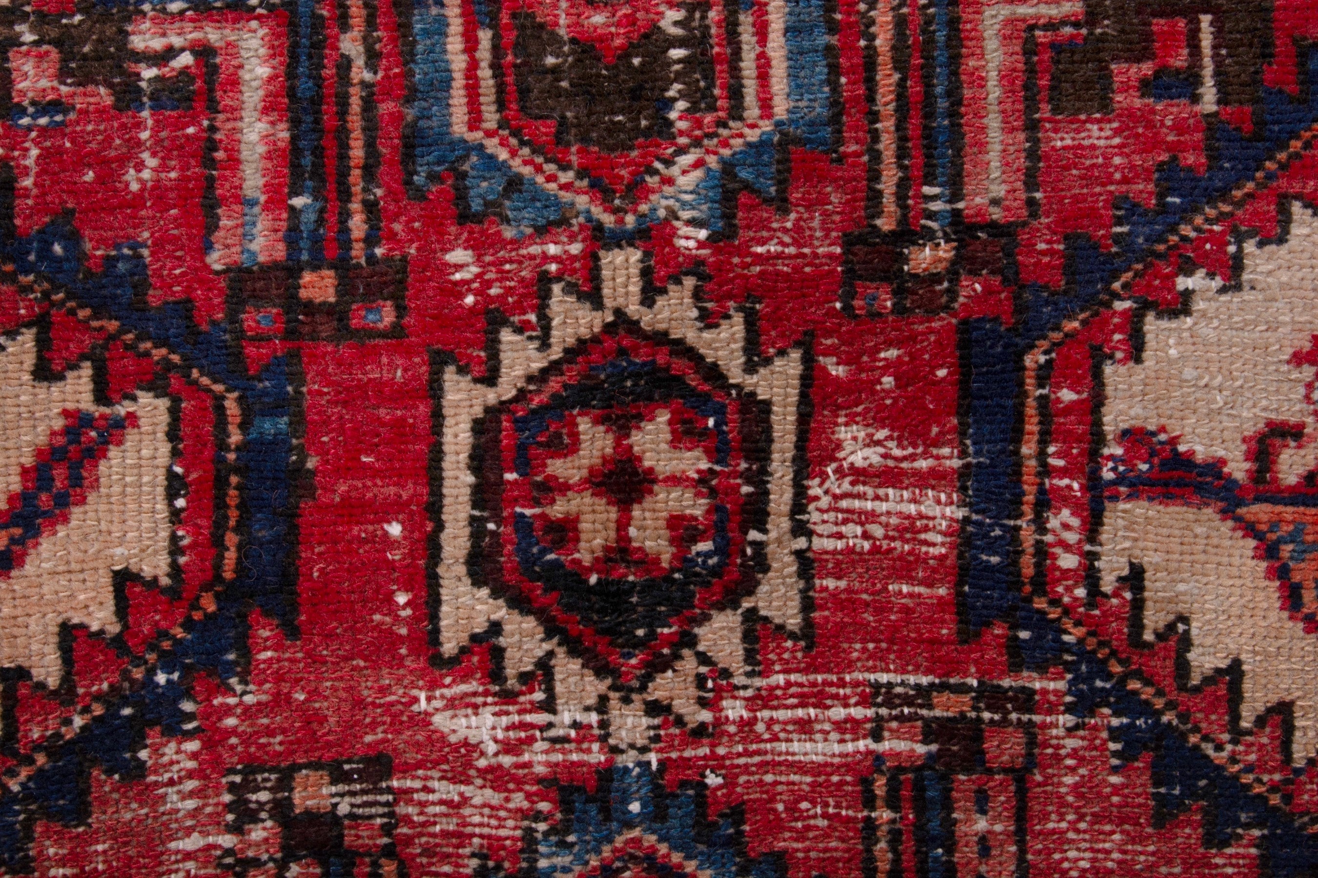 Persian Zanjan runner rug in faded red and dark blue, view 12 of 19
