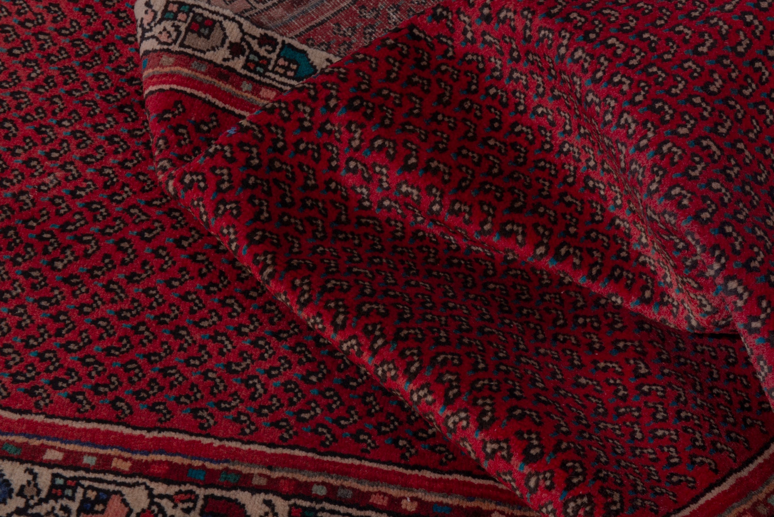 Persian Botteh runner rug in deep red and charcoal, view 14 of 17