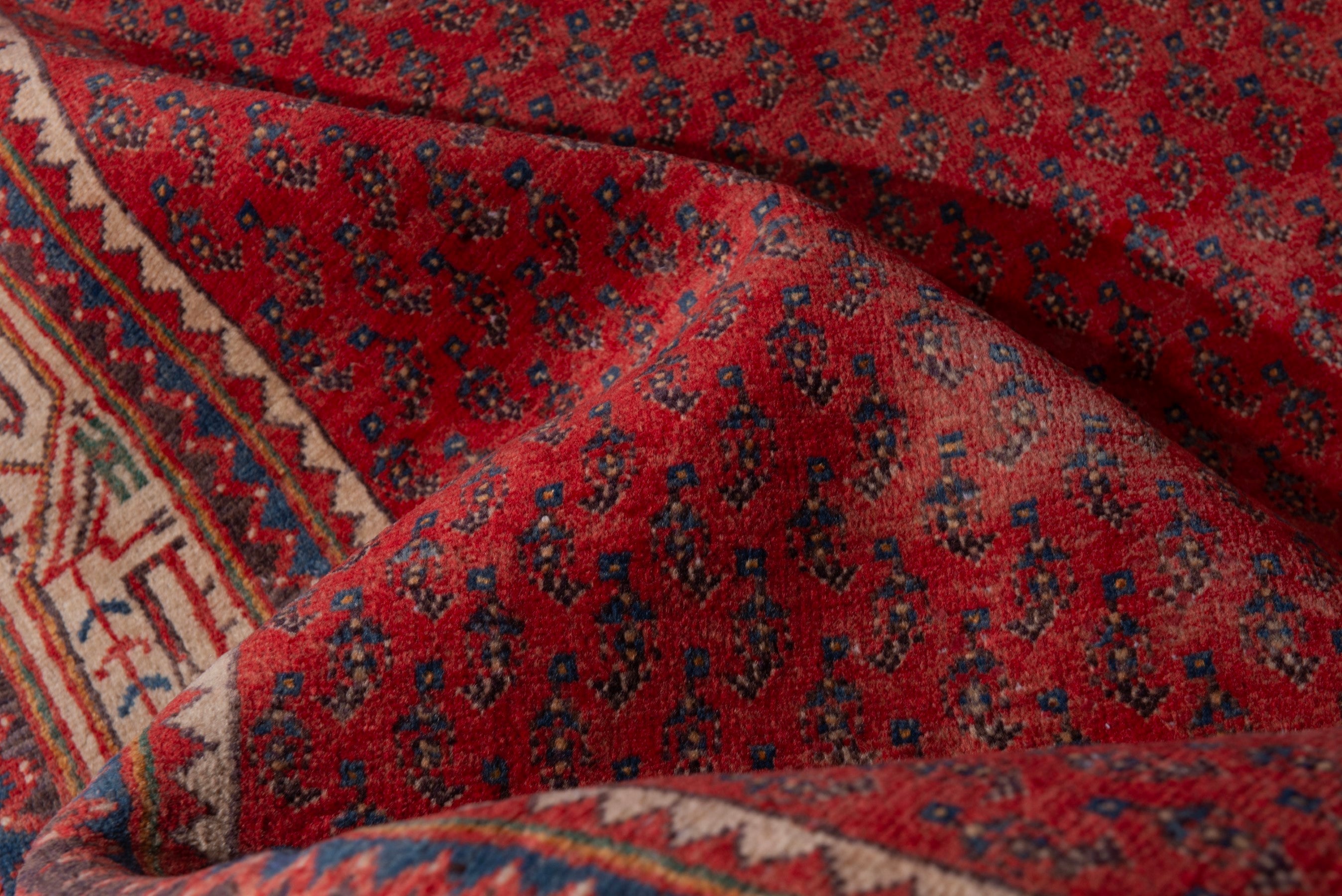 Persian Botteh runner rug in deep red and greige, view 15 of 17