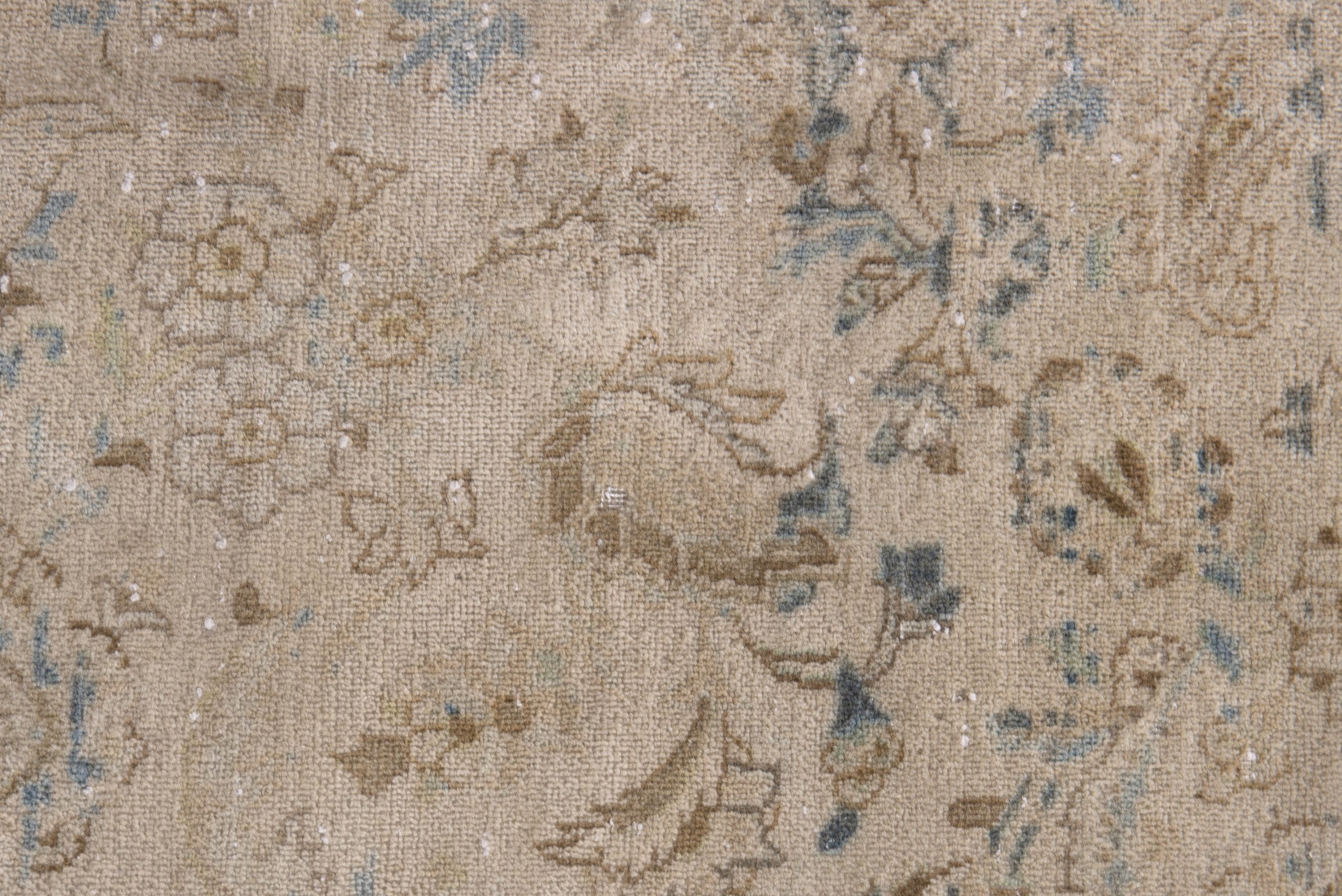 Persian Kashan area rug in cream and powder blue, view 15 of 21