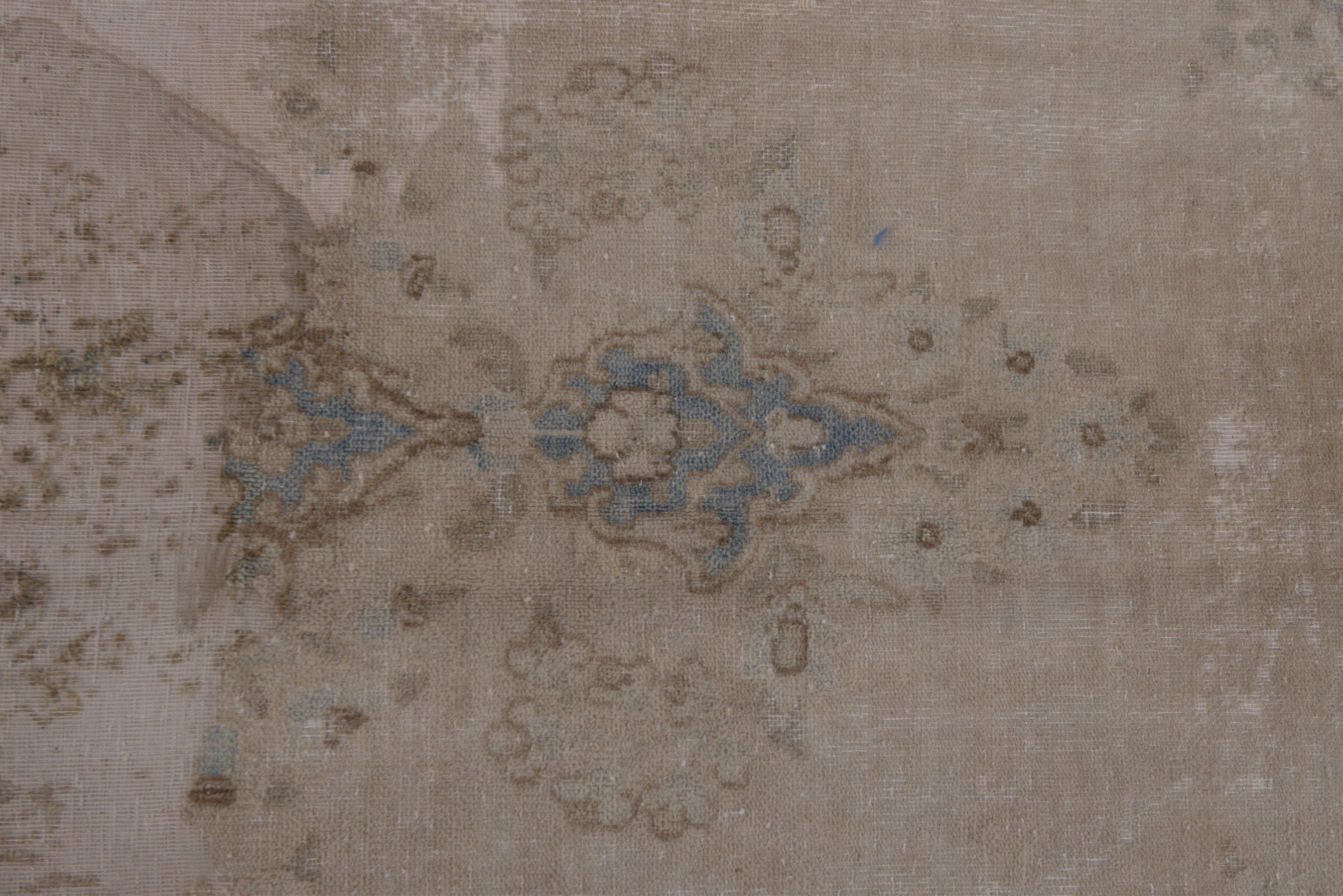 Persian Kerman oversized rug in cream and dusty blue, view 15 of 20