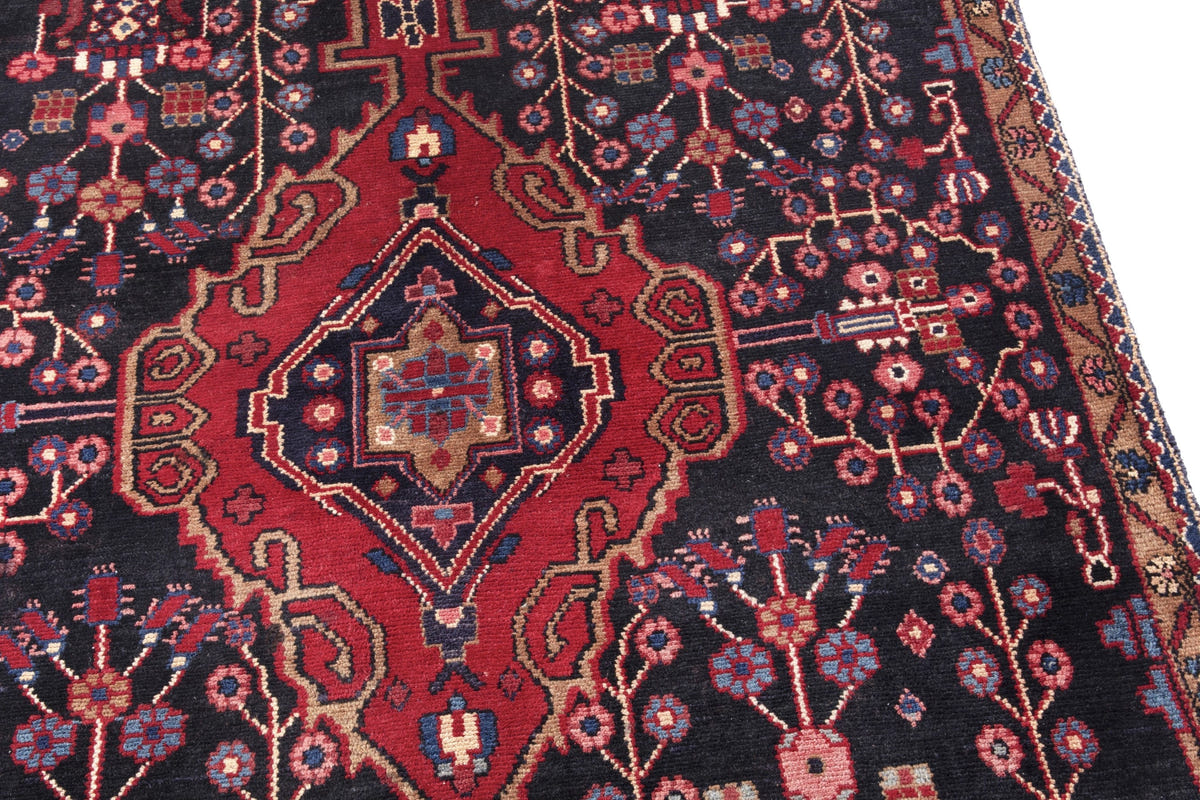 3016, Persian Hamadan Area Rug