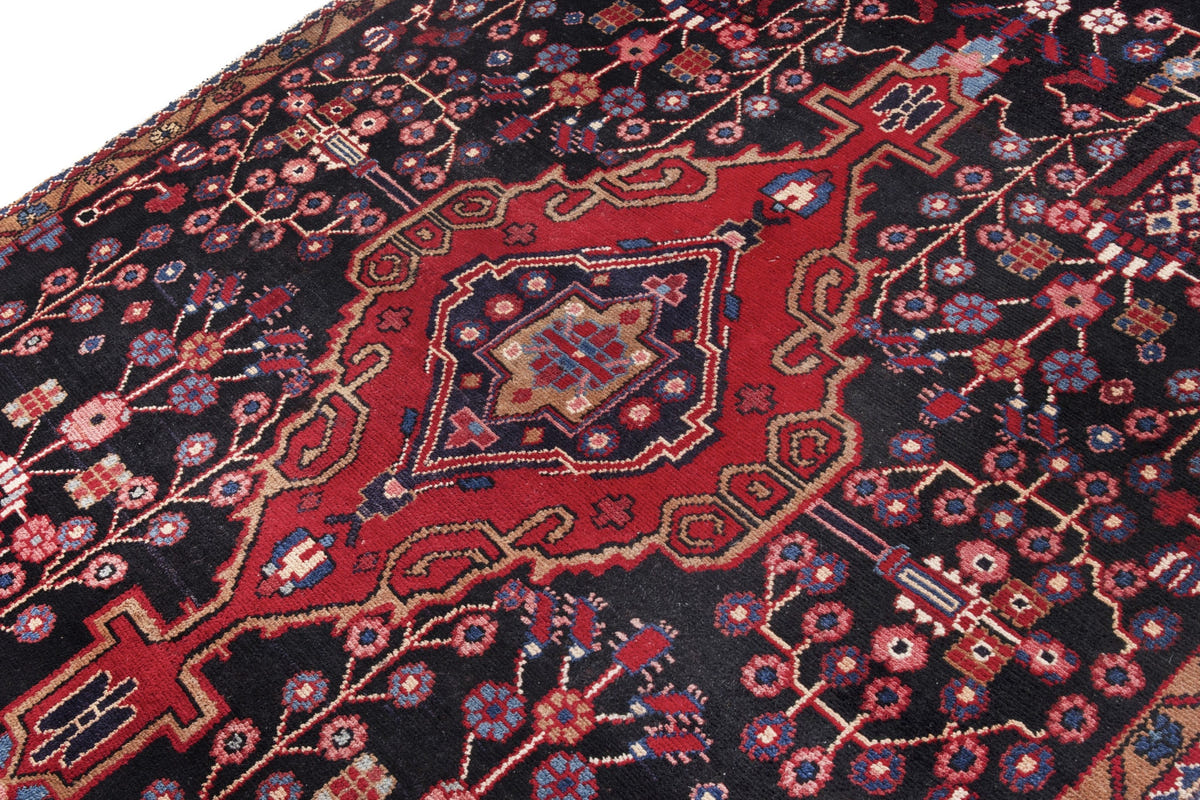 3016, Persian Hamadan Area Rug