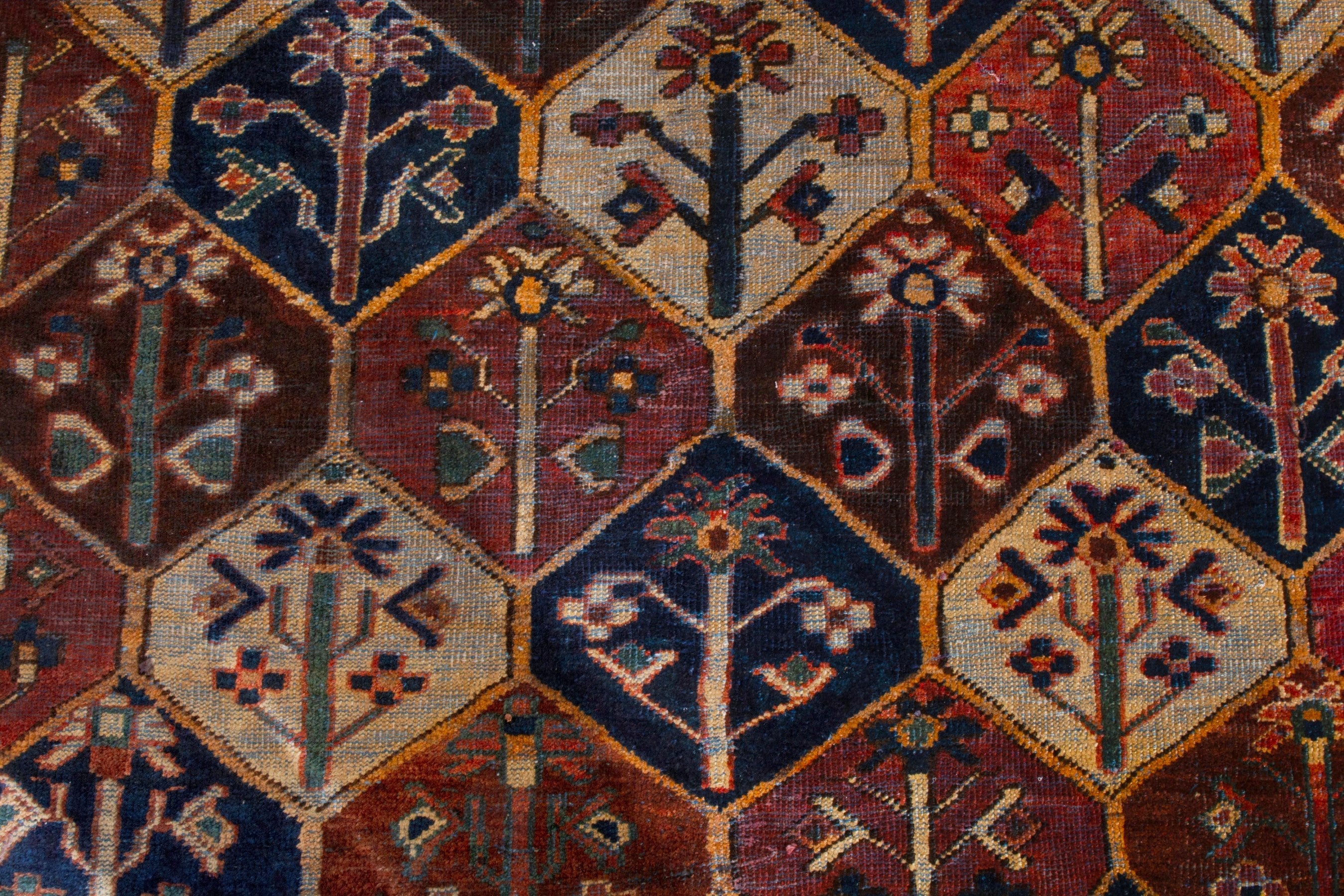 Persian Bakhtiari area rug in rust and brick, view 11 of 21