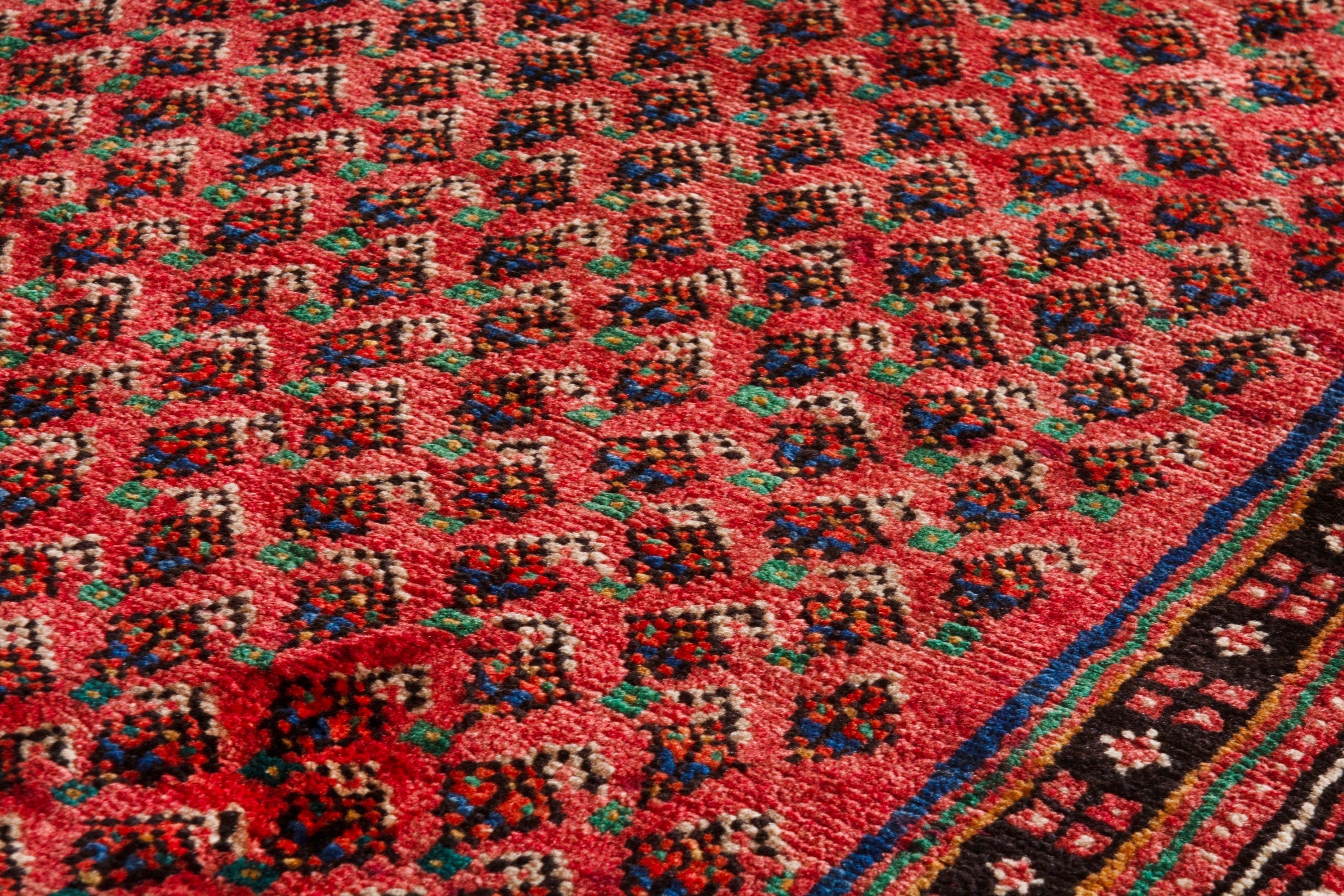 Persian Arak runner rug in deep red and cream, view 11 of 21