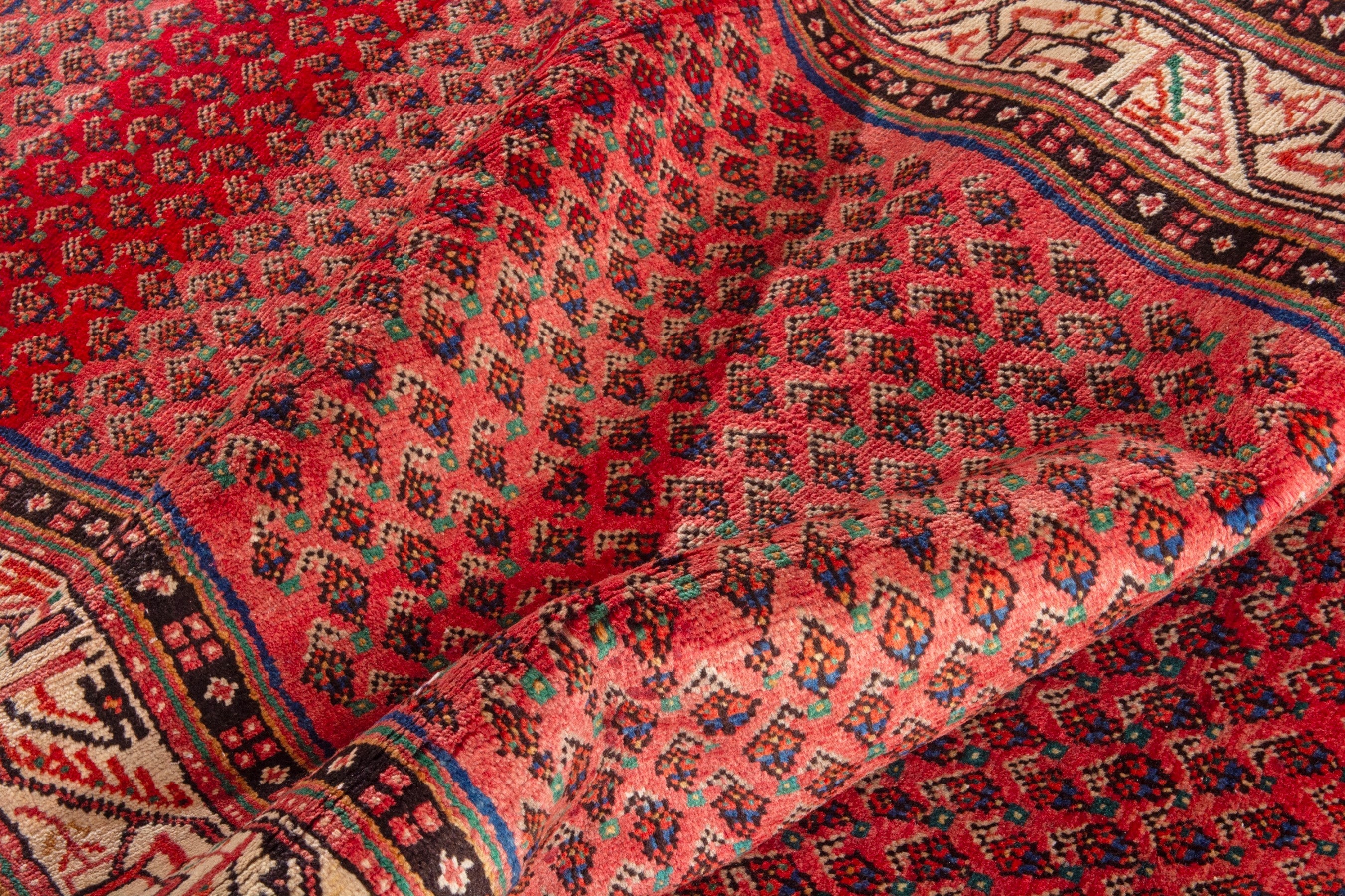 Persian Arak runner rug in deep red and cream, view 16 of 21