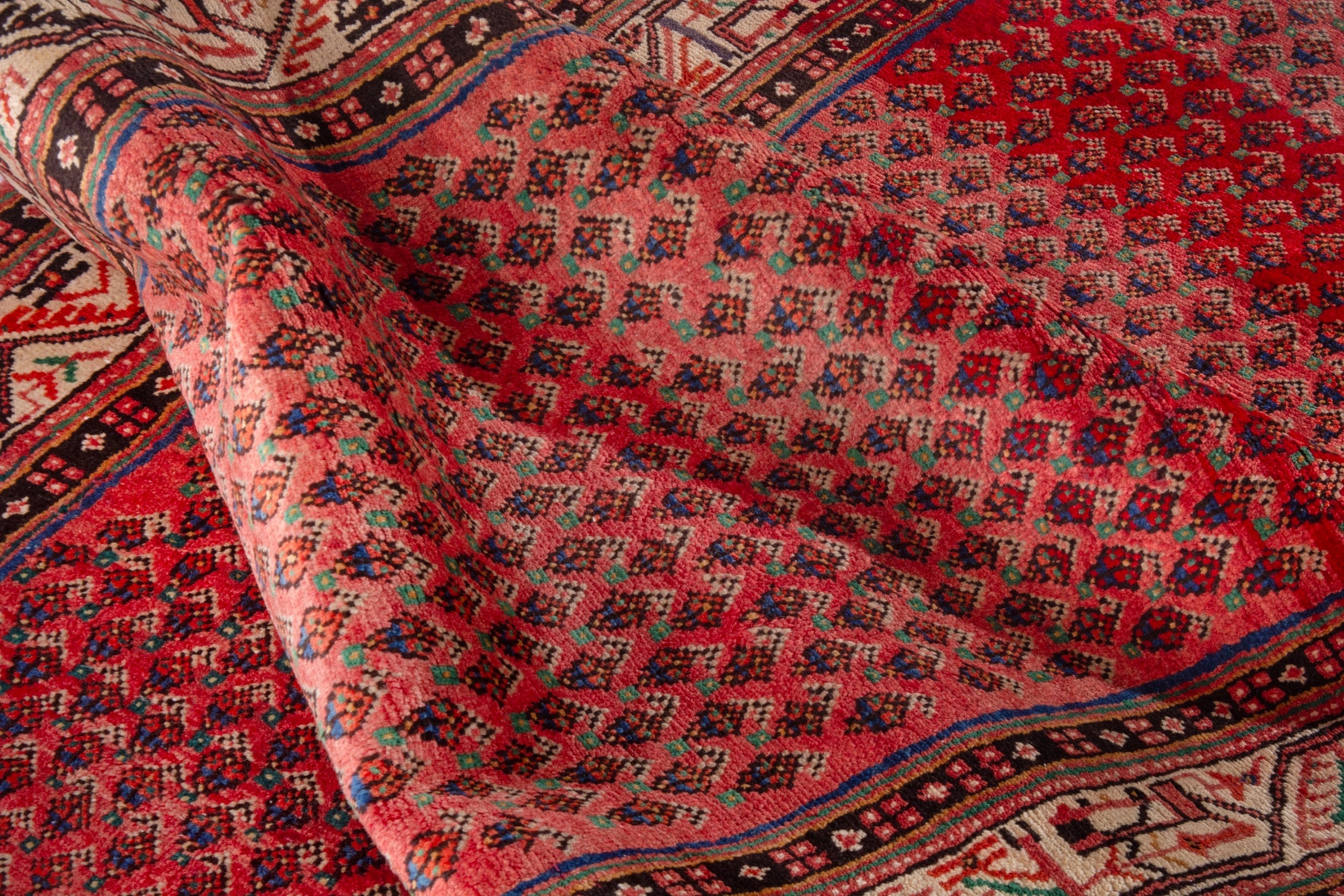 Persian Arak runner rug in deep red and cream, view 17 of 21