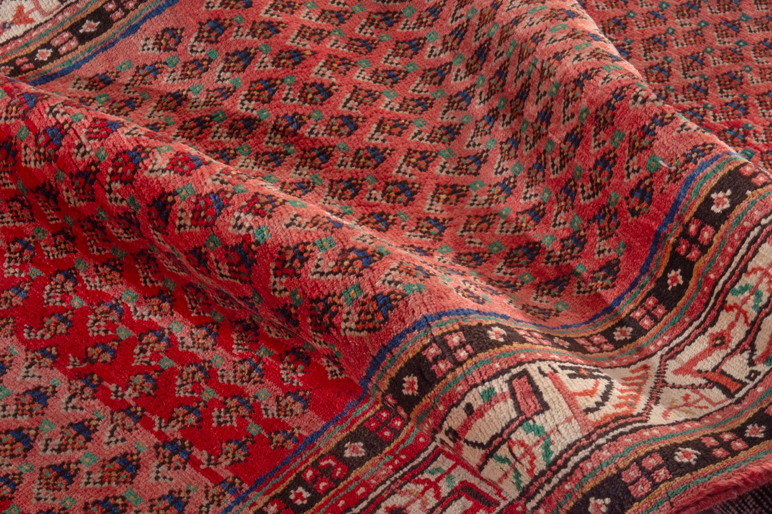 Persian Arak runner rug in deep red and cream, view 18 of 21