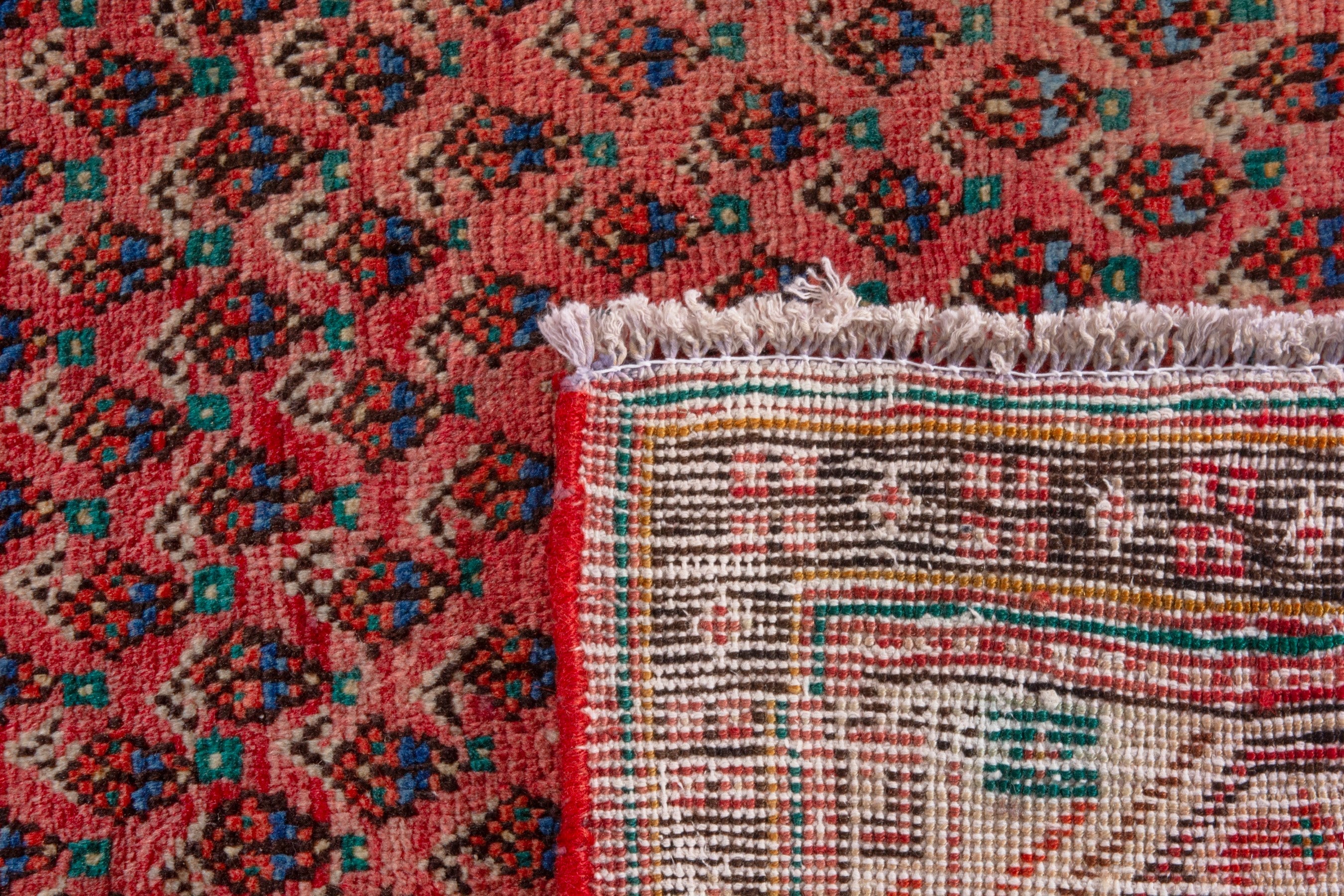 Persian Arak runner rug in deep red and cream, view 21 of 21