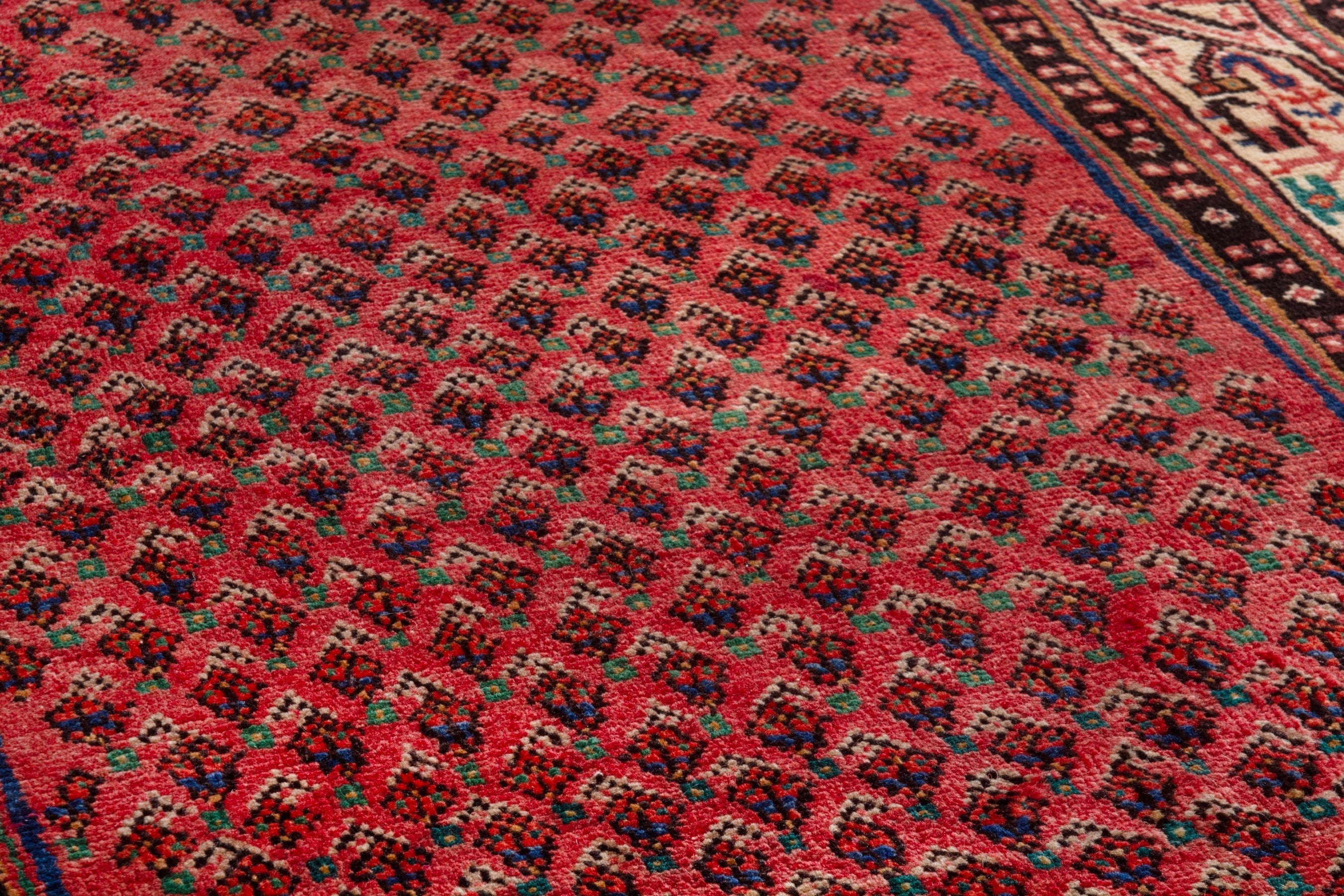 Persian Arak runner rug in deep red and cream, view 9 of 21