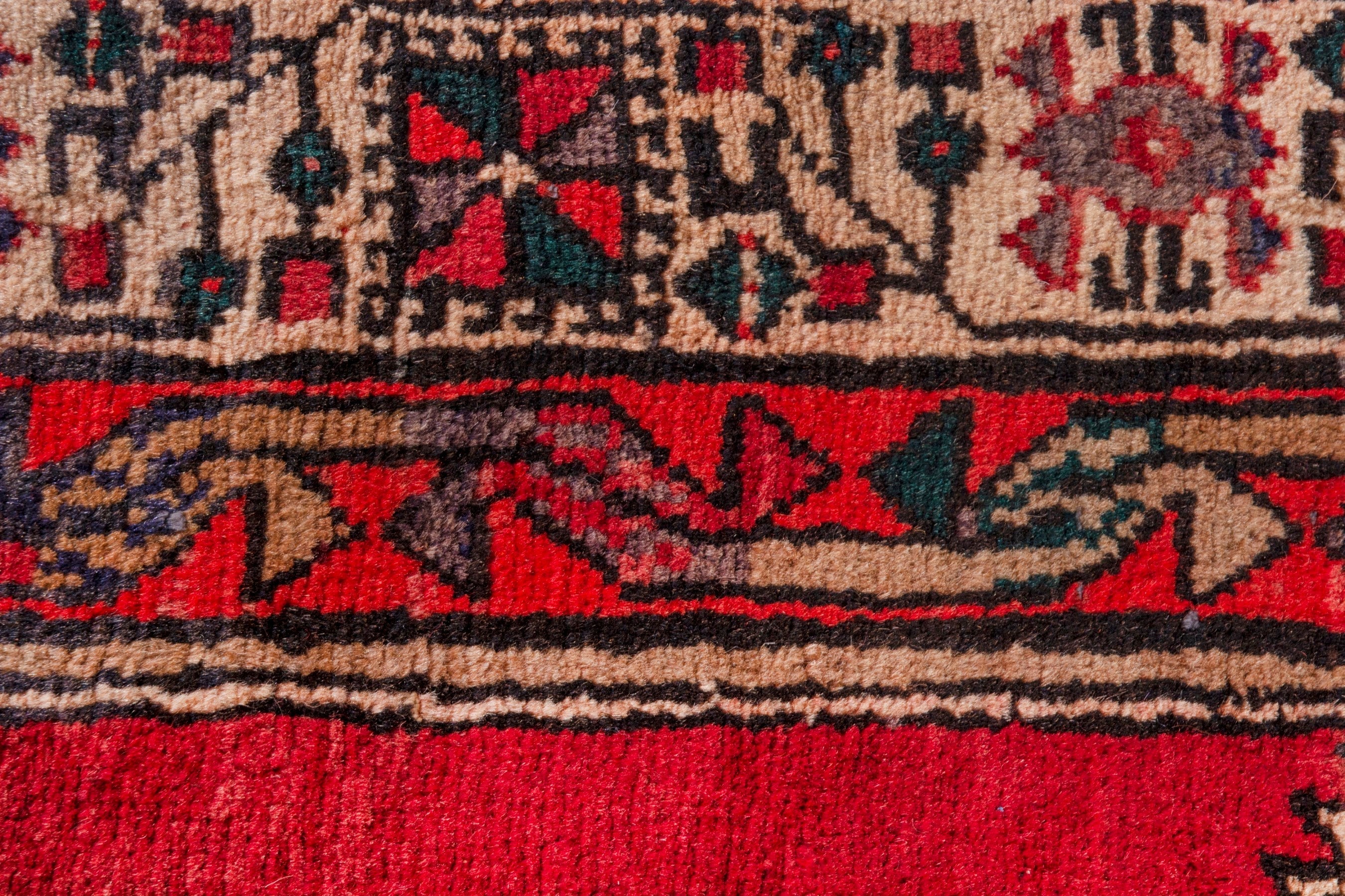Persian Ardabil runner rug in deep red and cream, view 13 of 22