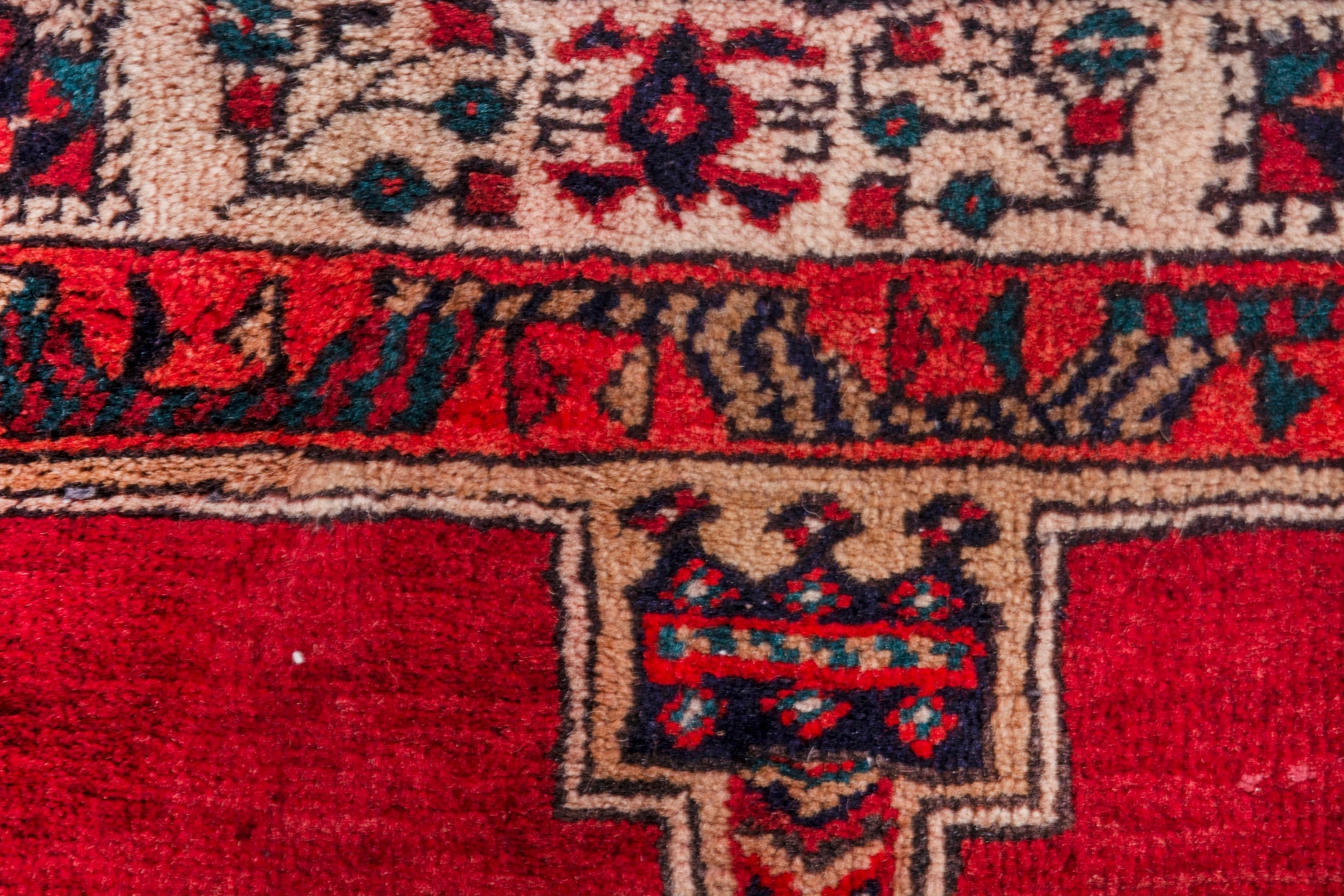 Persian Ardabil runner rug in deep red and cream, view 14 of 22