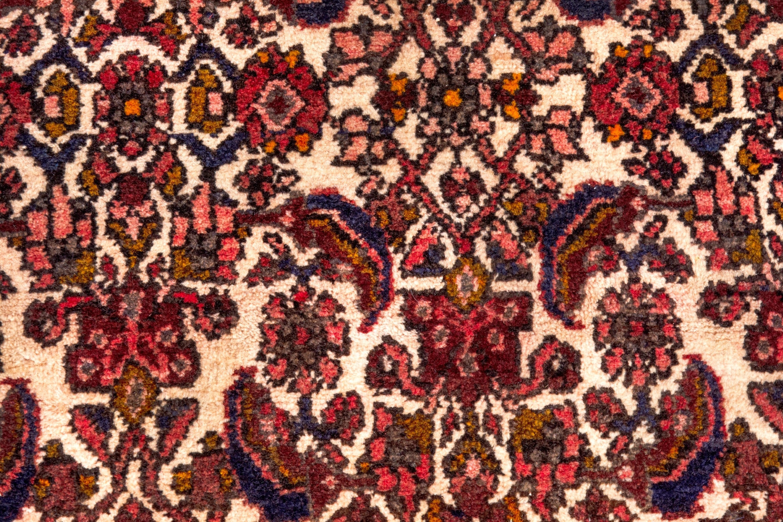 Persian Hamedan runner rug in cream and burgundy, view 12 of 22