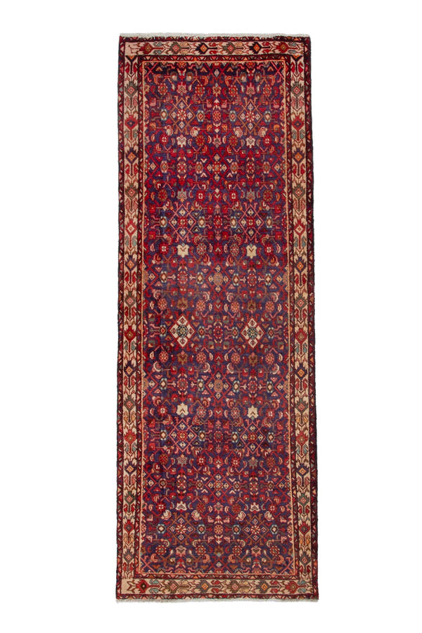 3166, Persian Arak Runner Rug