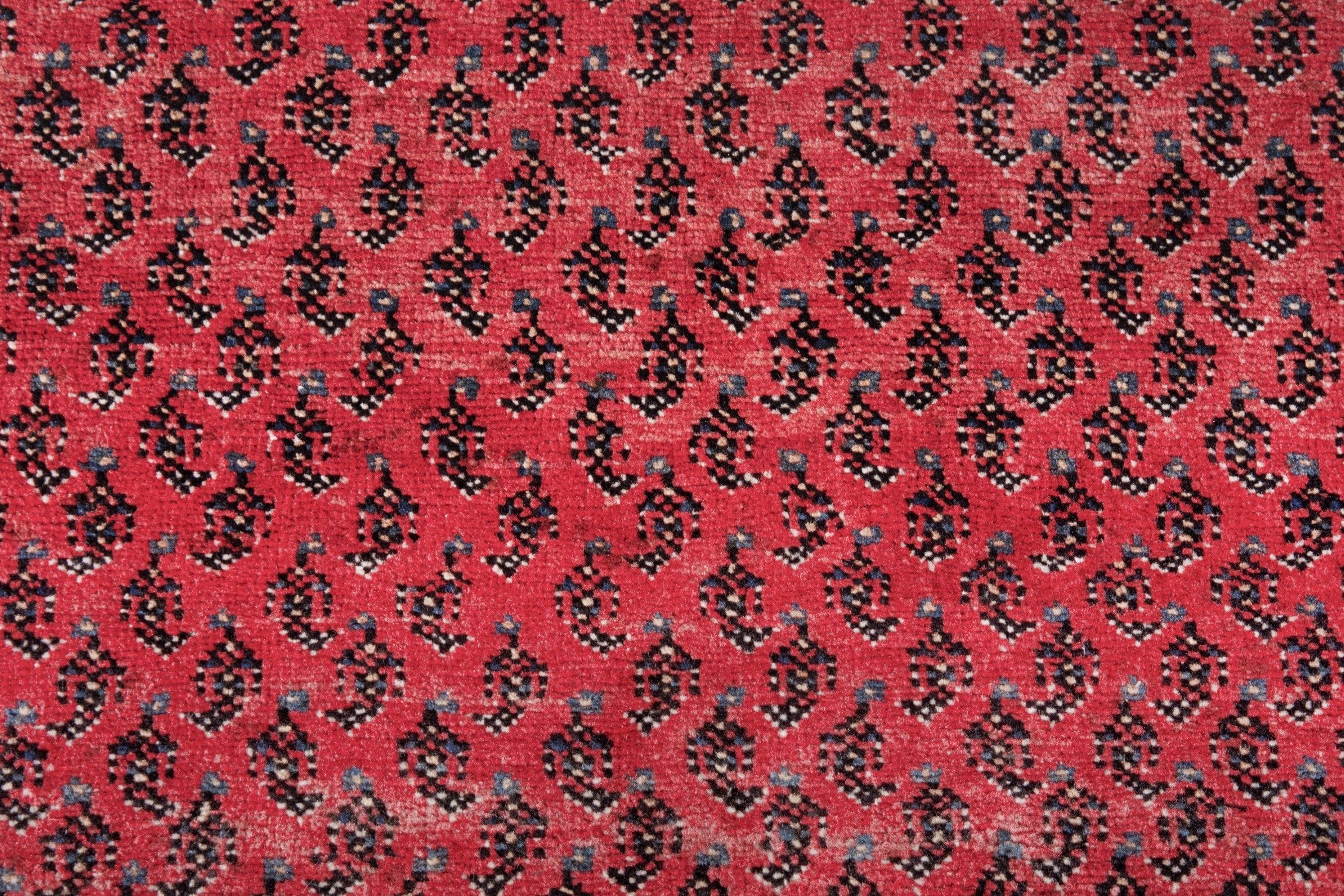 Persian Arak runner rug in deep red and cream, view 15 of 21