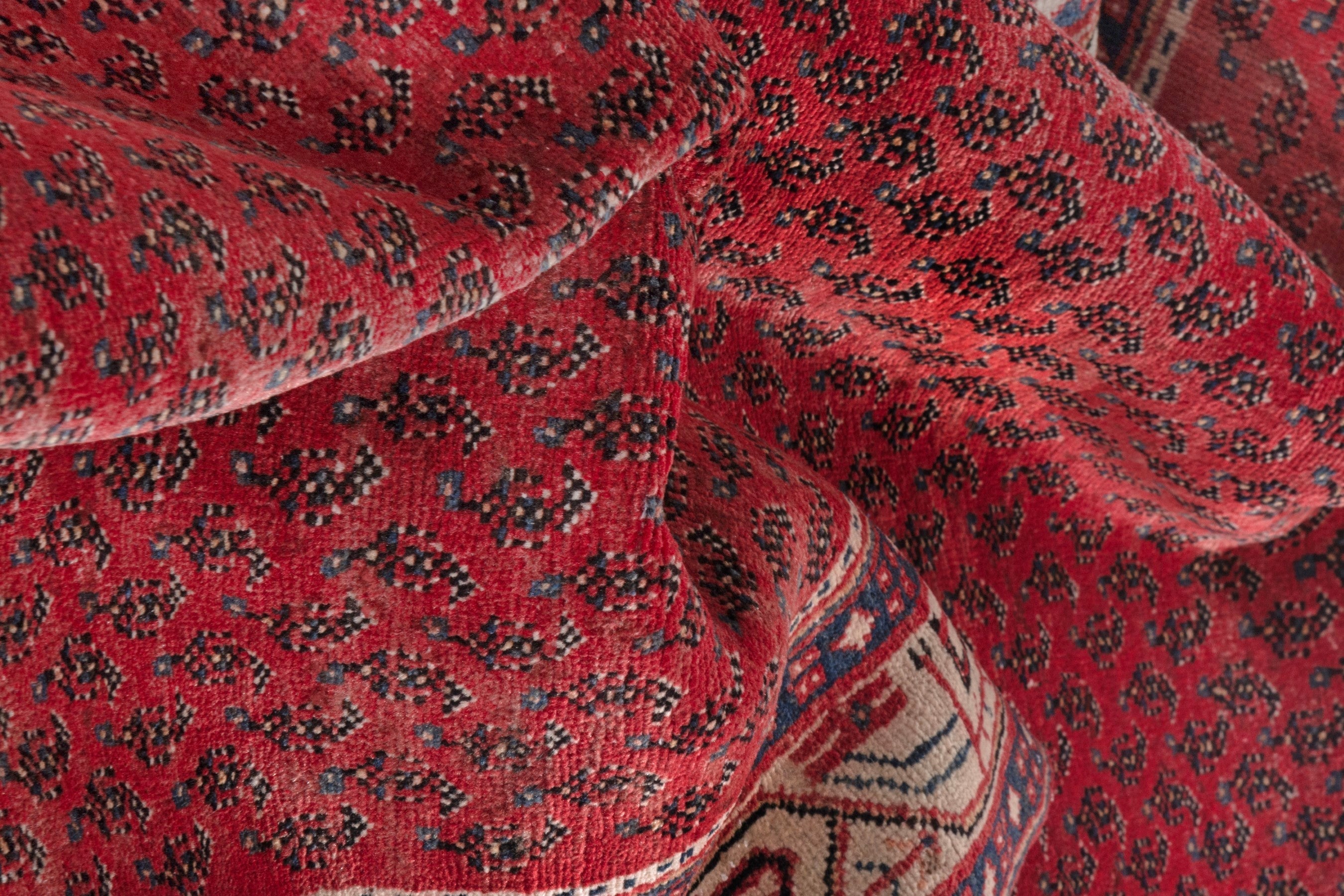 Persian Arak runner rug in deep red and cream, view 20 of 21