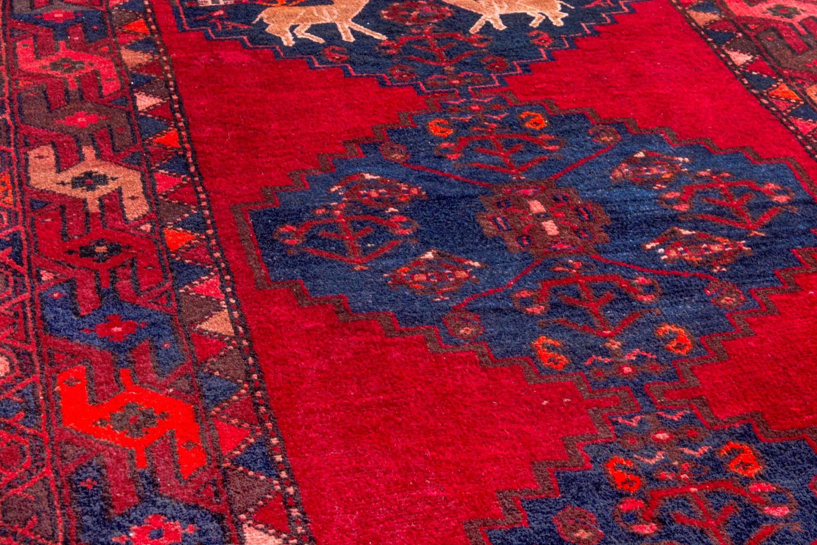Persian Zanjan runner rug in deep red and deep indigo, view 8 of 22