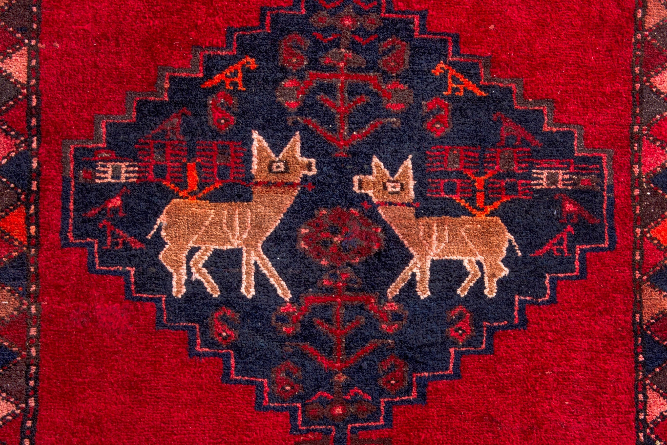Persian Zanjan runner rug in deep red and deep indigo, view 15 of 22