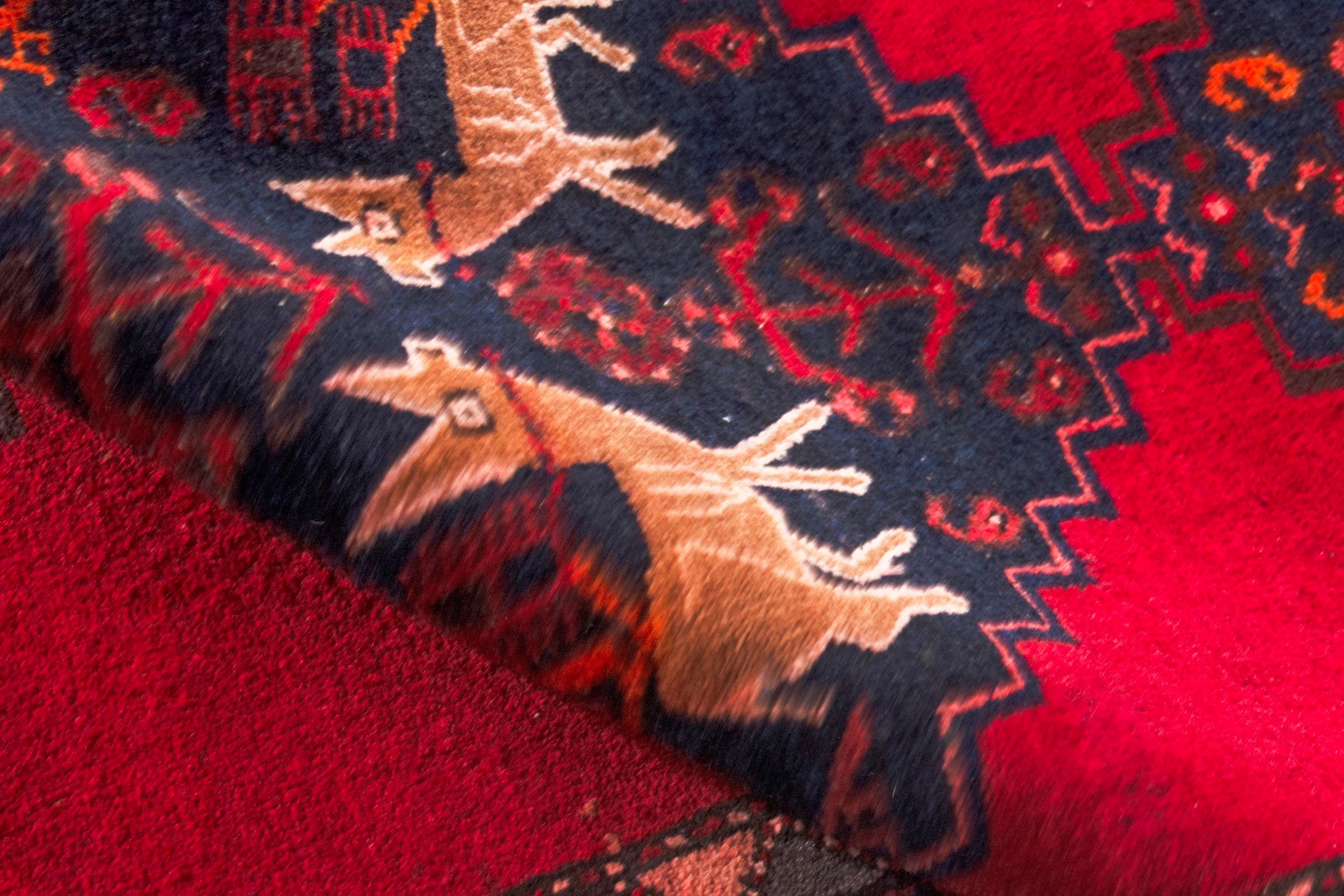 Persian Zanjan runner rug in deep red and deep indigo, view 21 of 22
