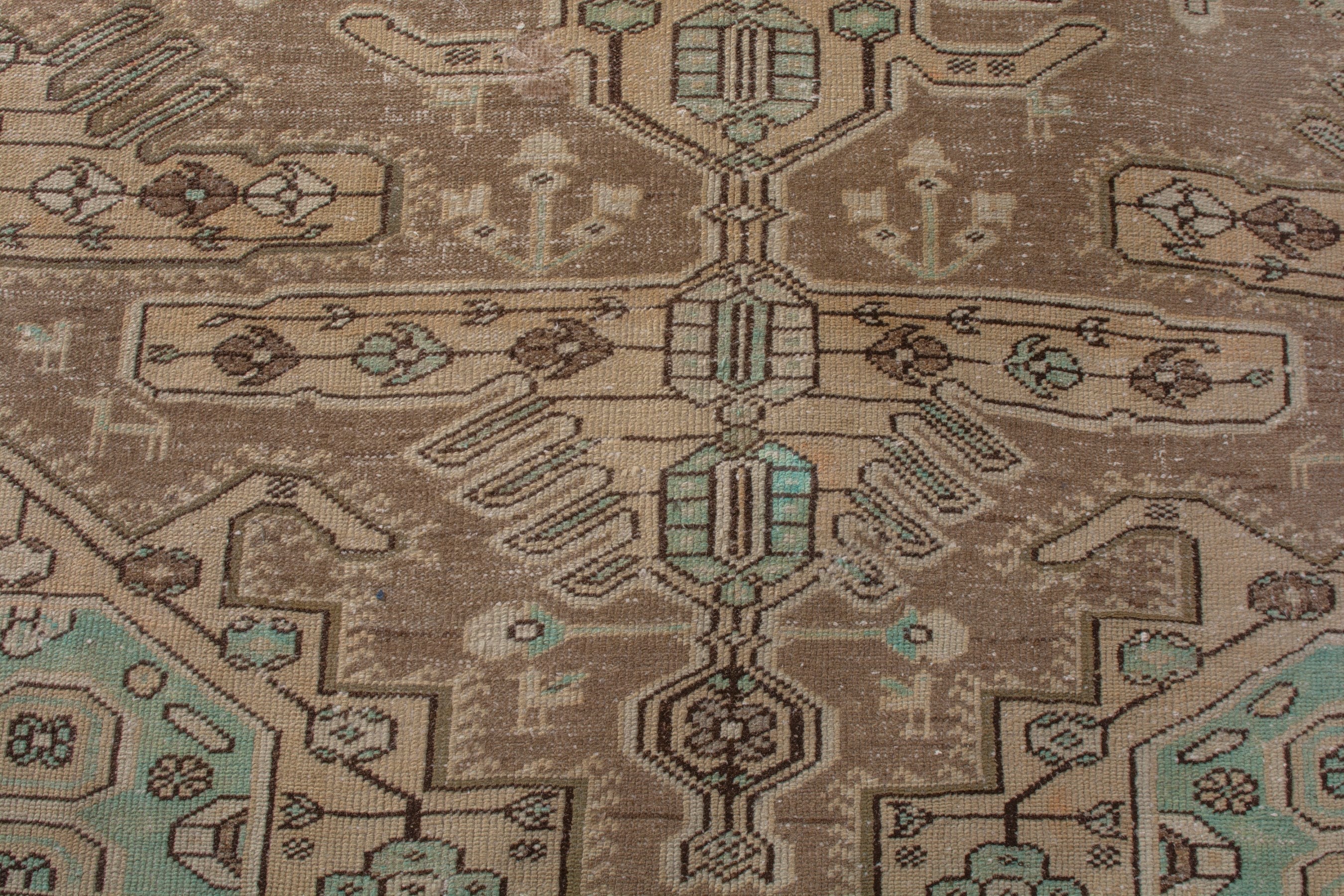 Persian Bakhtiari area rug in tan and dark brown, view 14 of 20