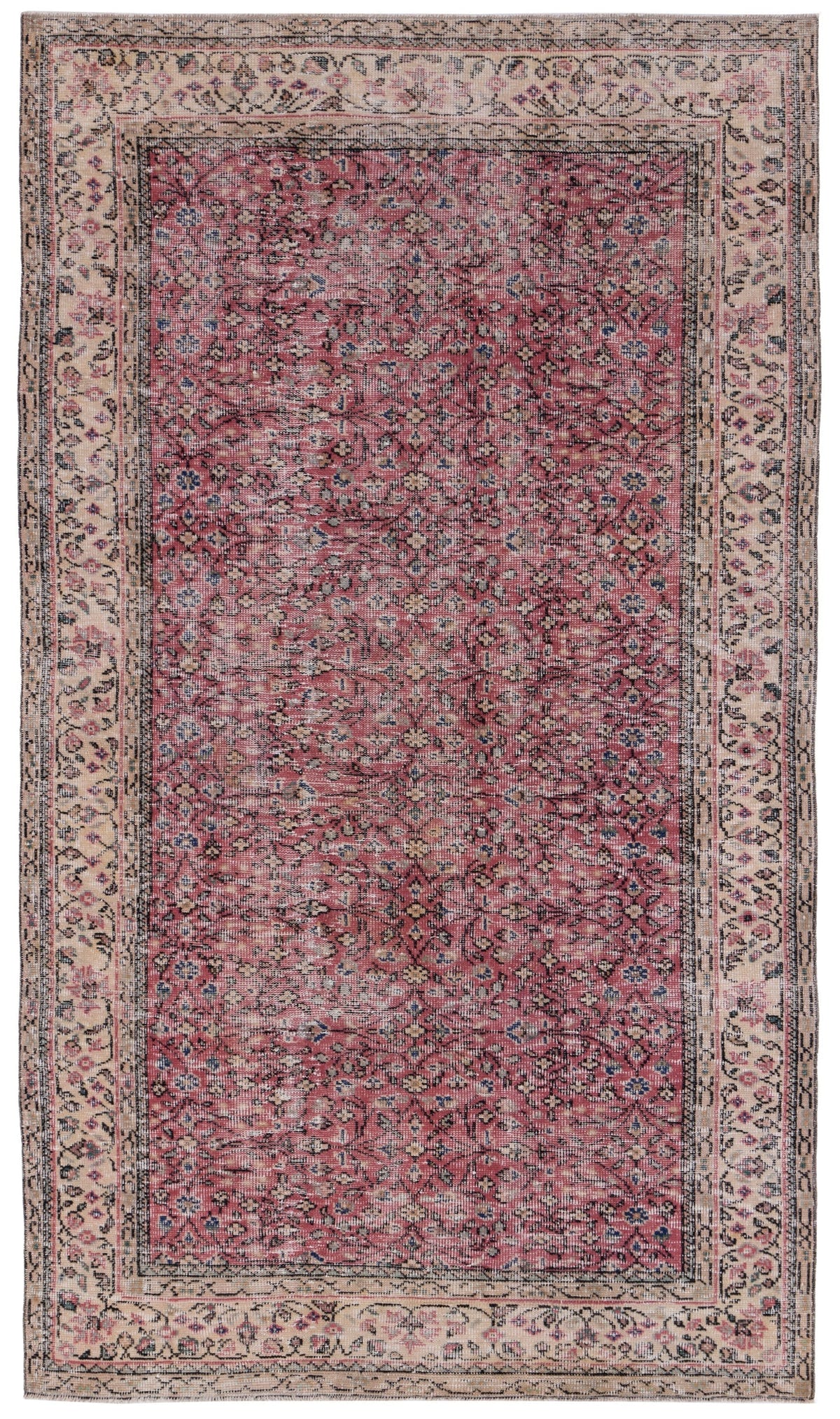 8849, Turkish Isparta Area Rug