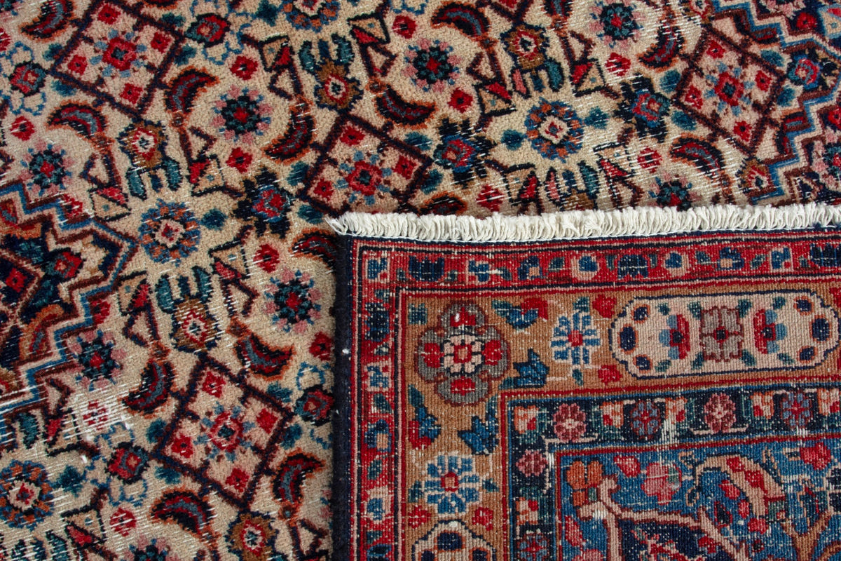 3556, Persian Birjand Oversized Rug