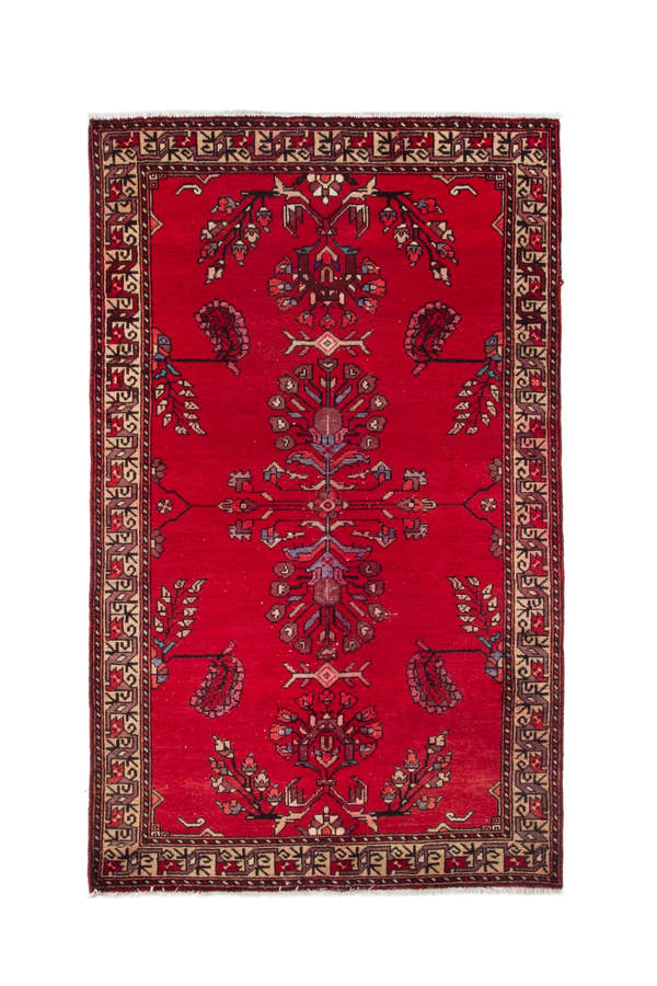 3576, Persian Ferdos Area Rug