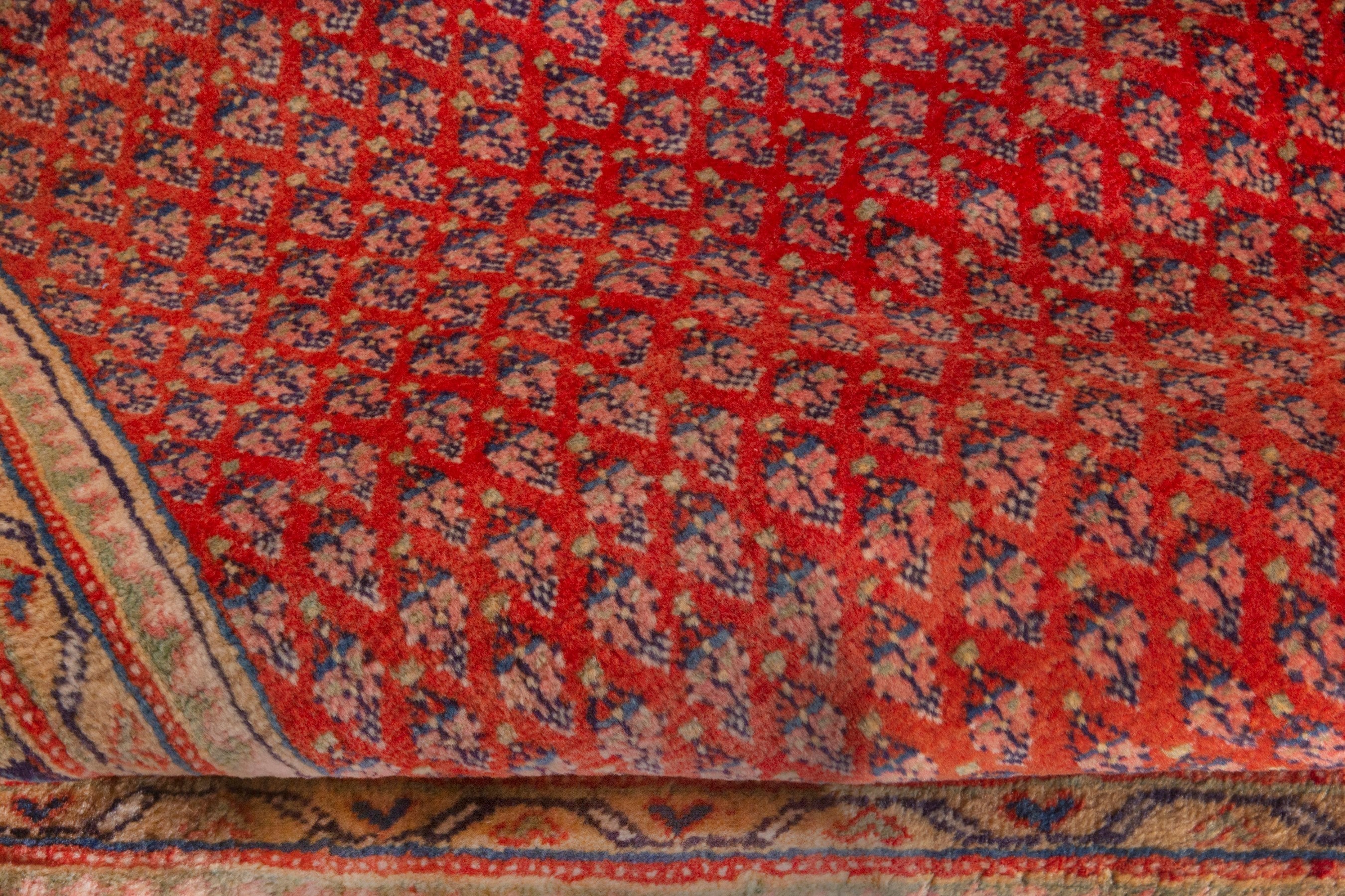 Persian Arak area rug in deep red and rust, view 15 of 20