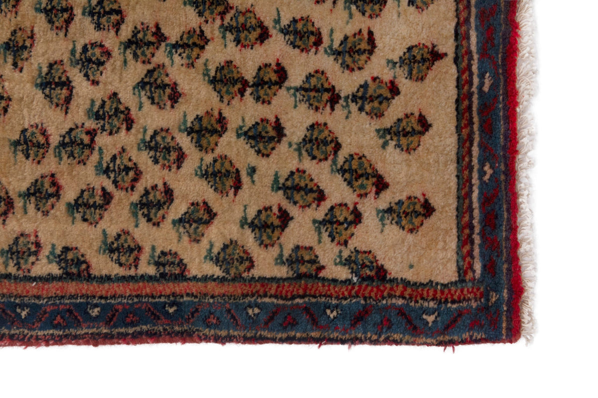 3810, Persian Botteh Mini Rug
