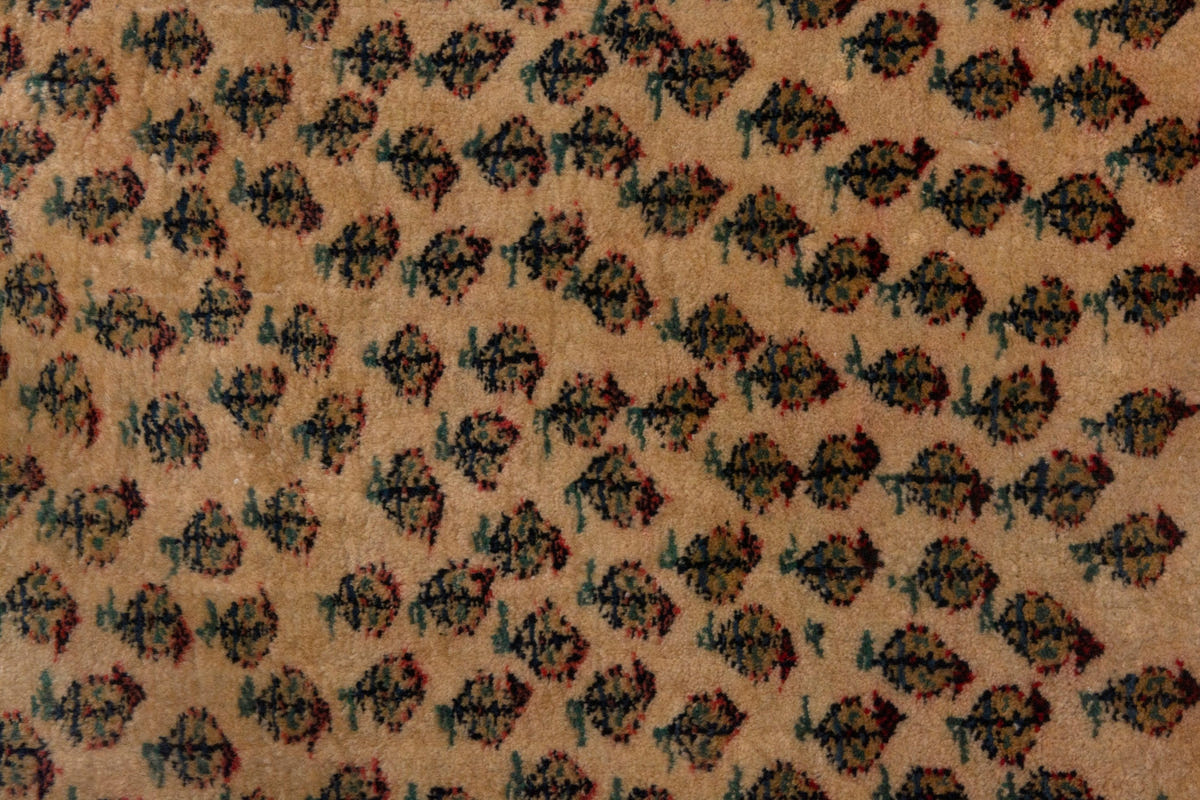 3810, Persian Botteh Mini Rug