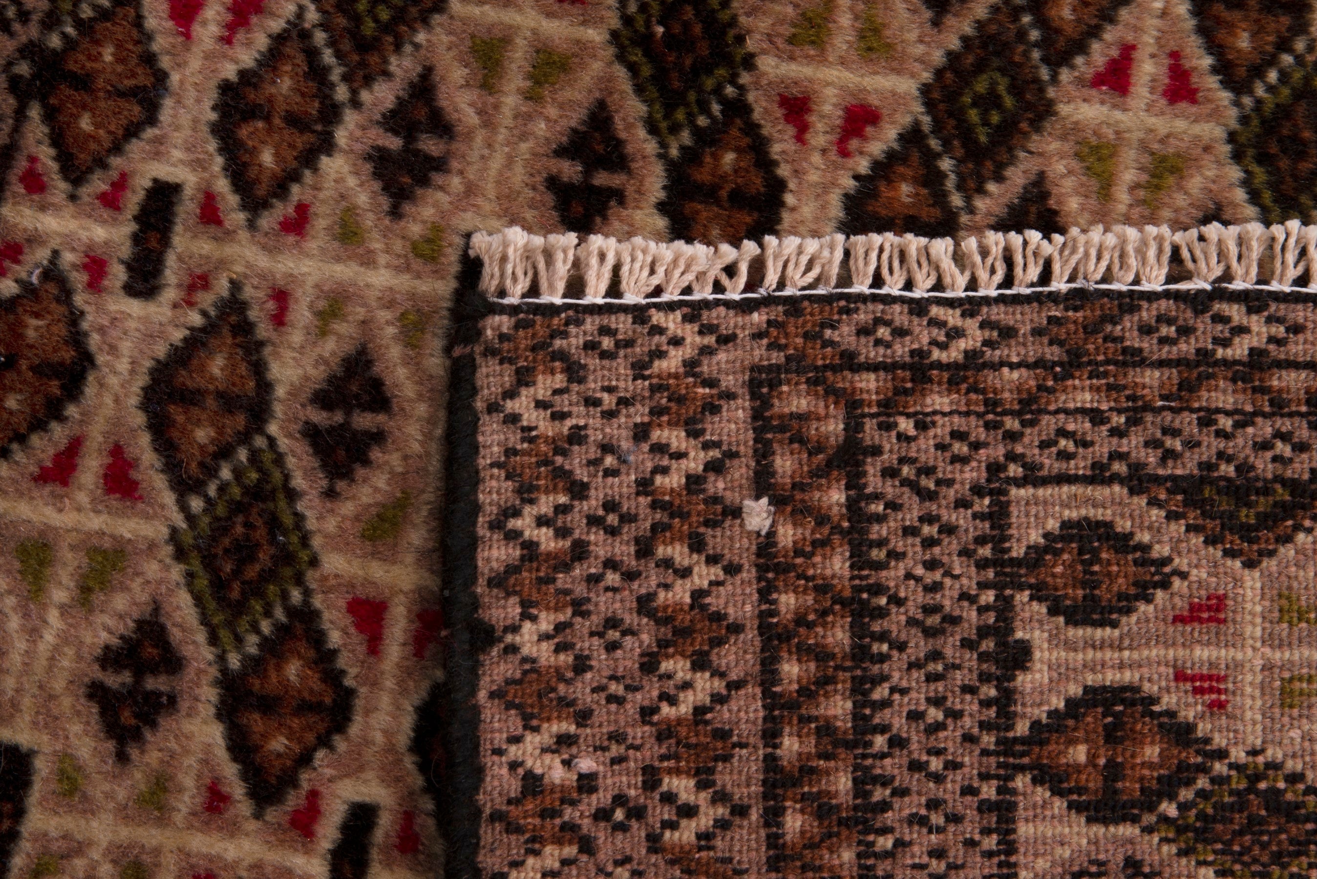 Persian Torkaman accent rug in beige and dark brown, view 7 of 7