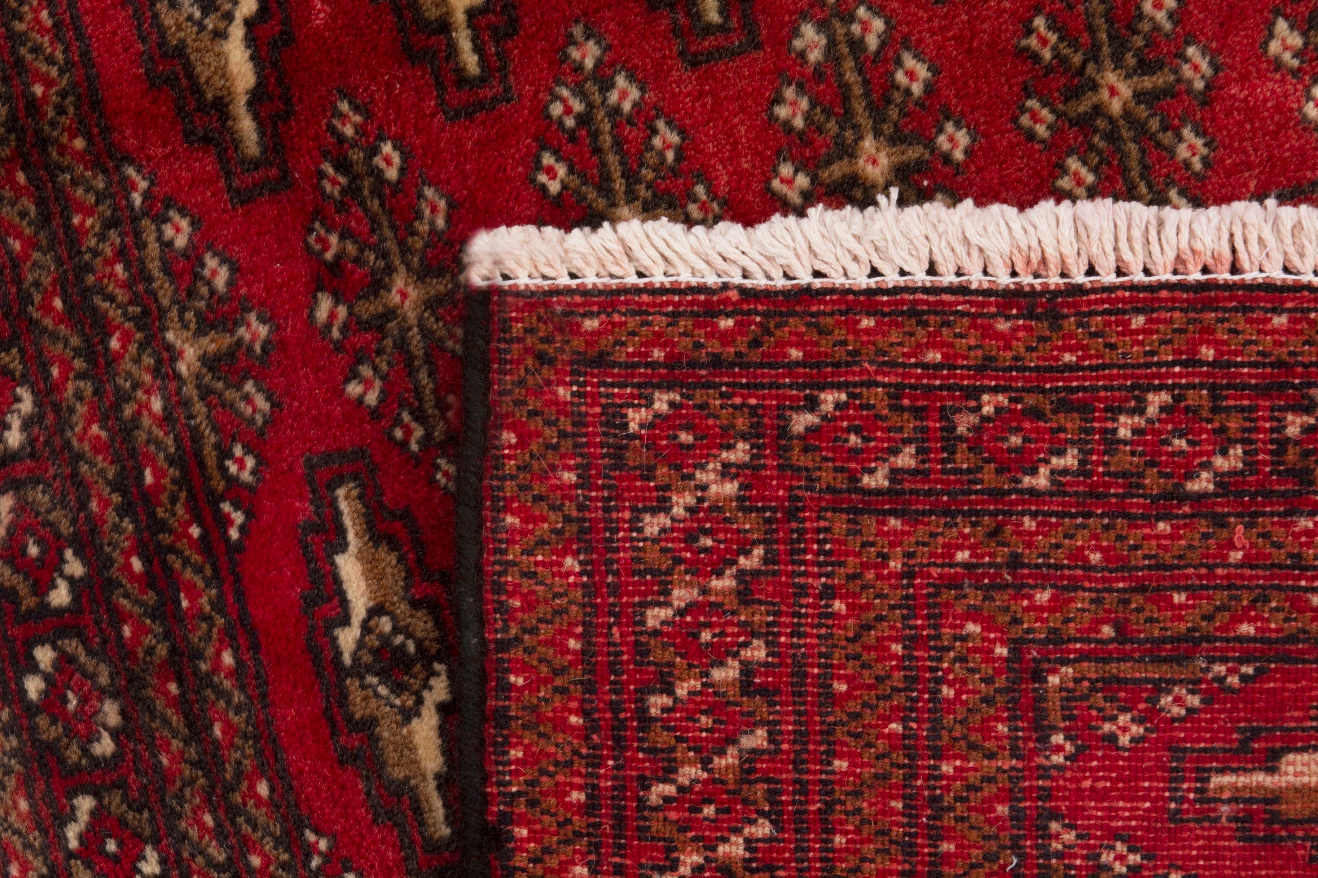 Persian Torkaman accent rug in deep red and cream, view 7 of 7