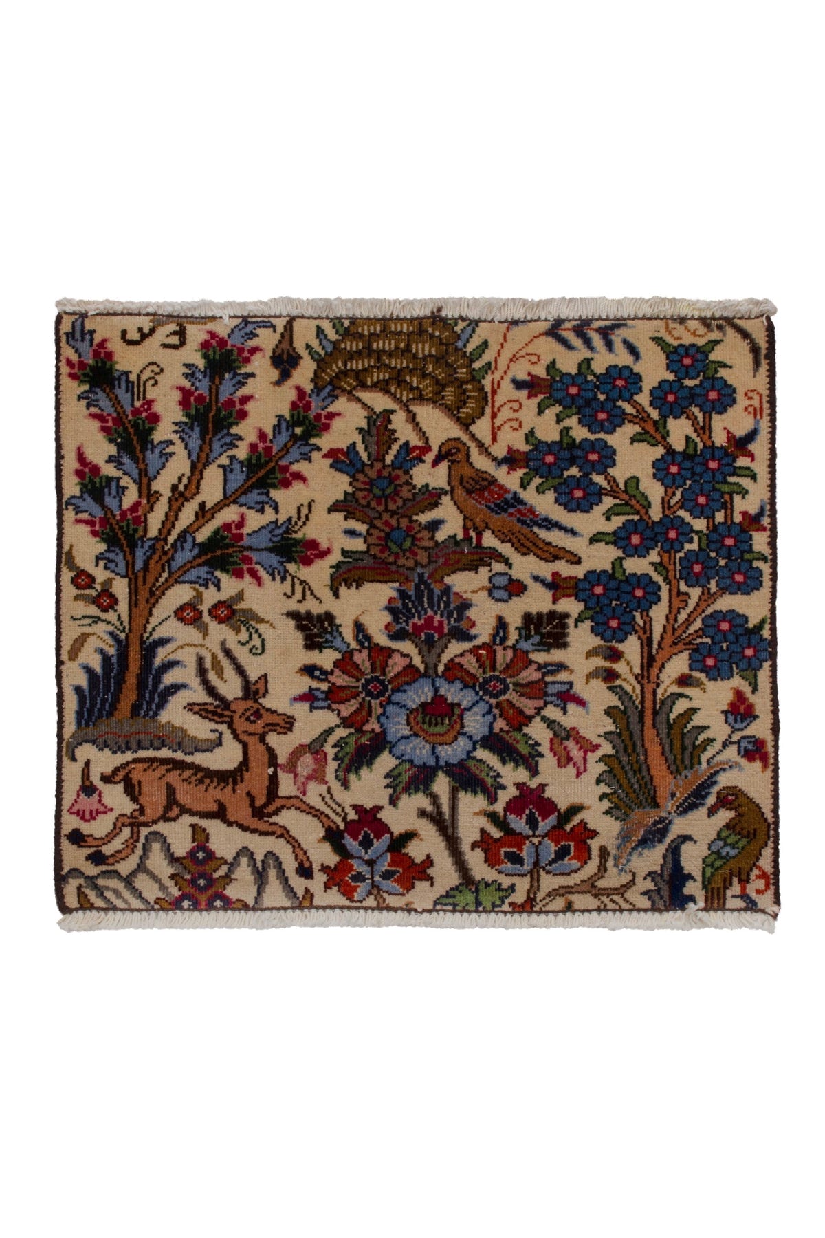 3895, Persian Kashmar Mini Rug