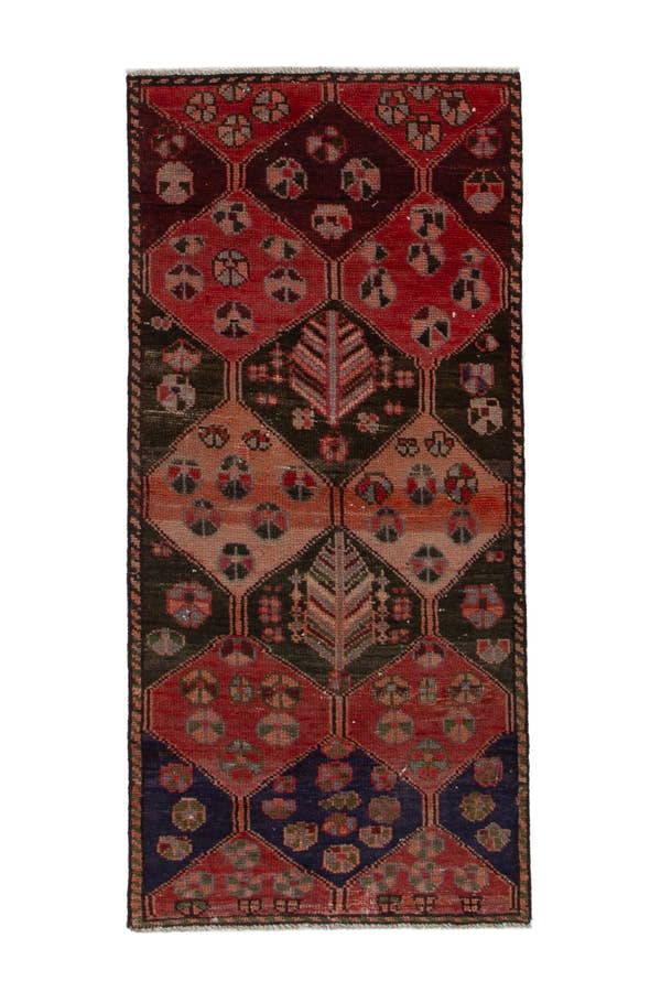 3947, Persian Bakhtiari Area Rug