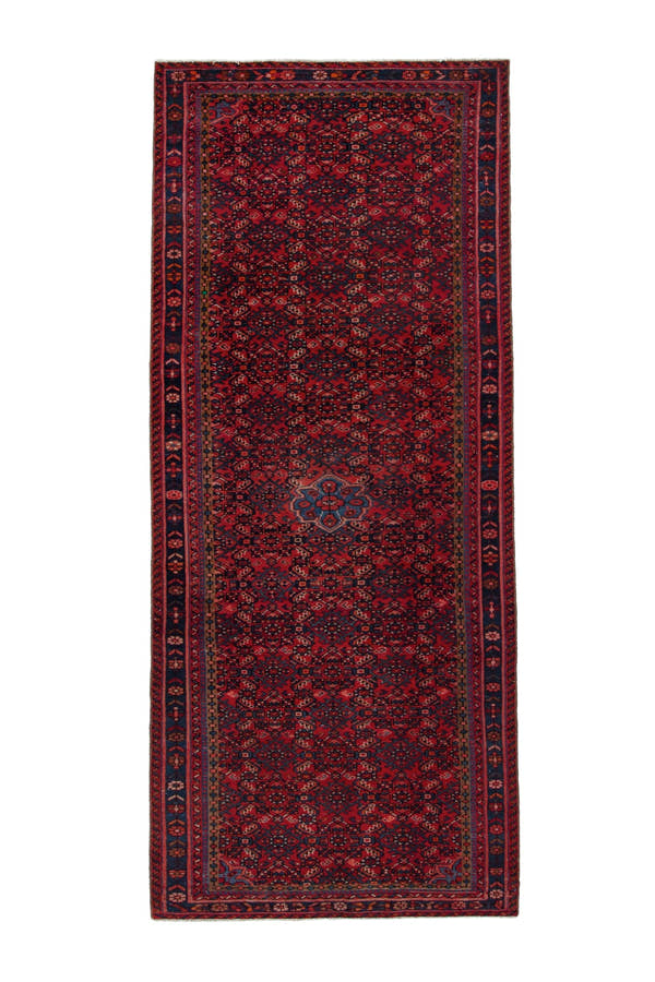 4066, Persian Hossein Abad Runner Rug