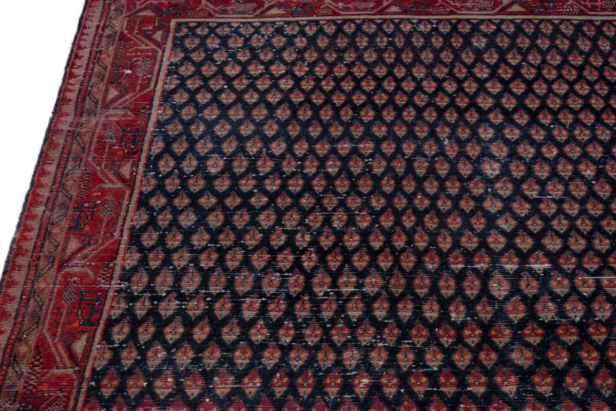 4235, Persian Arak Runner Rug